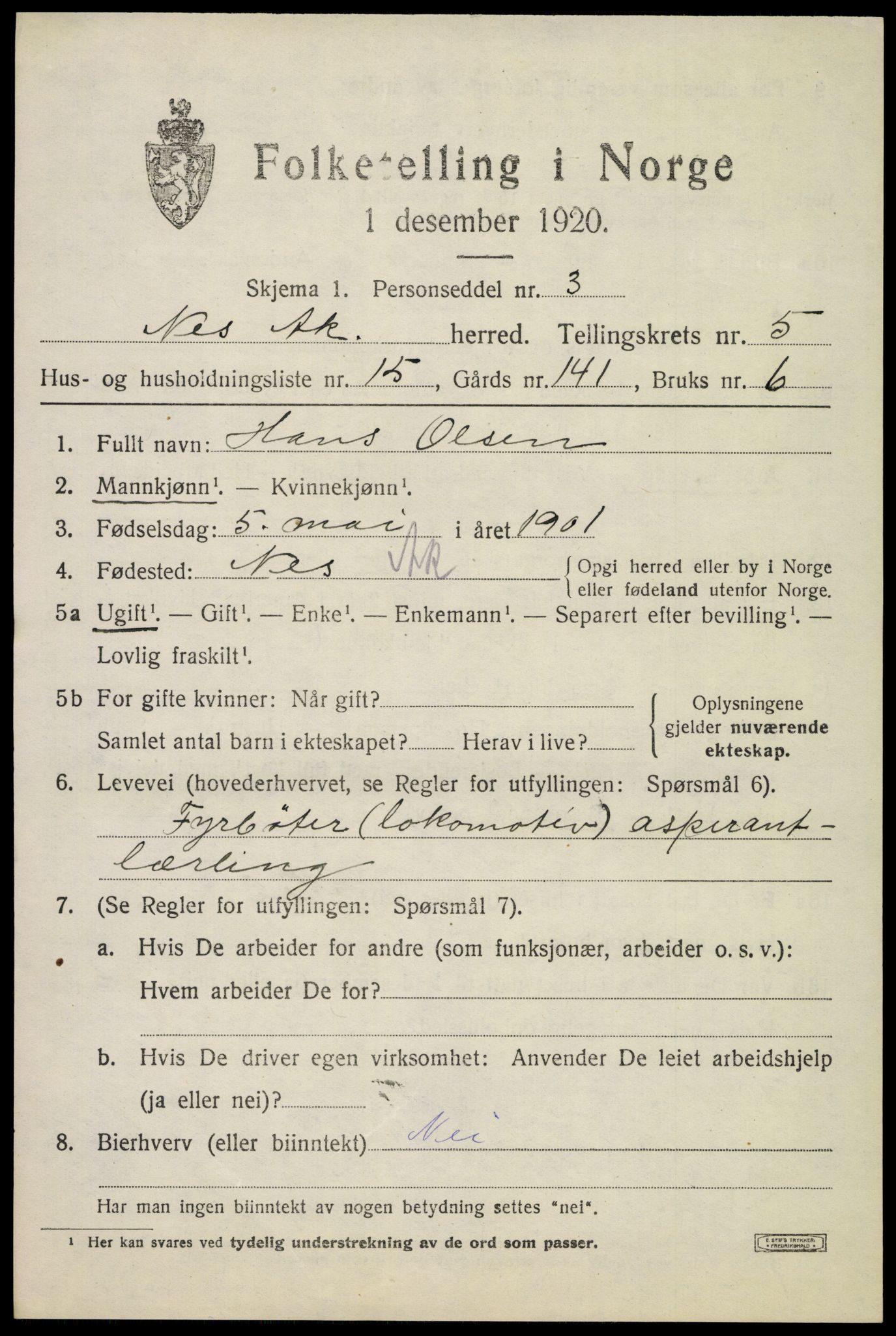 SAO, 1920 census for Nes, 1920, p. 6606