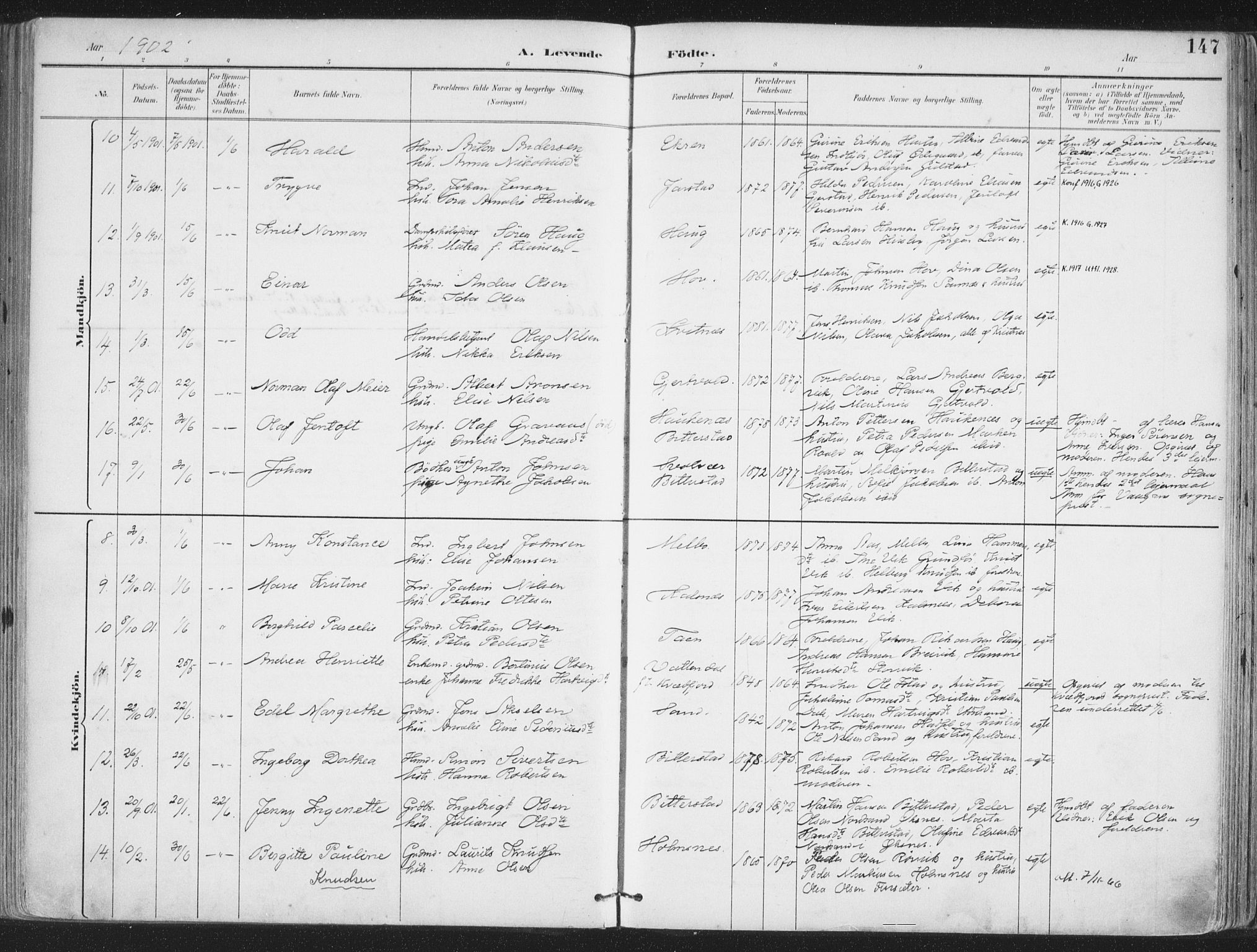 Ministerialprotokoller, klokkerbøker og fødselsregistre - Nordland, AV/SAT-A-1459/888/L1246: Parish register (official) no. 888A12, 1891-1903, p. 147