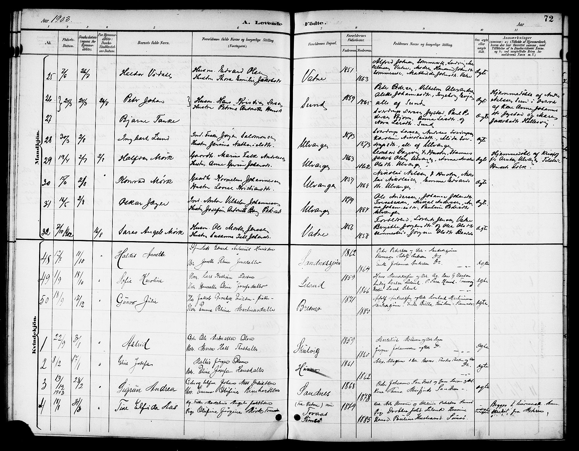 Ministerialprotokoller, klokkerbøker og fødselsregistre - Nordland, AV/SAT-A-1459/831/L0478: Parish register (copy) no. 831C05, 1892-1909, p. 72