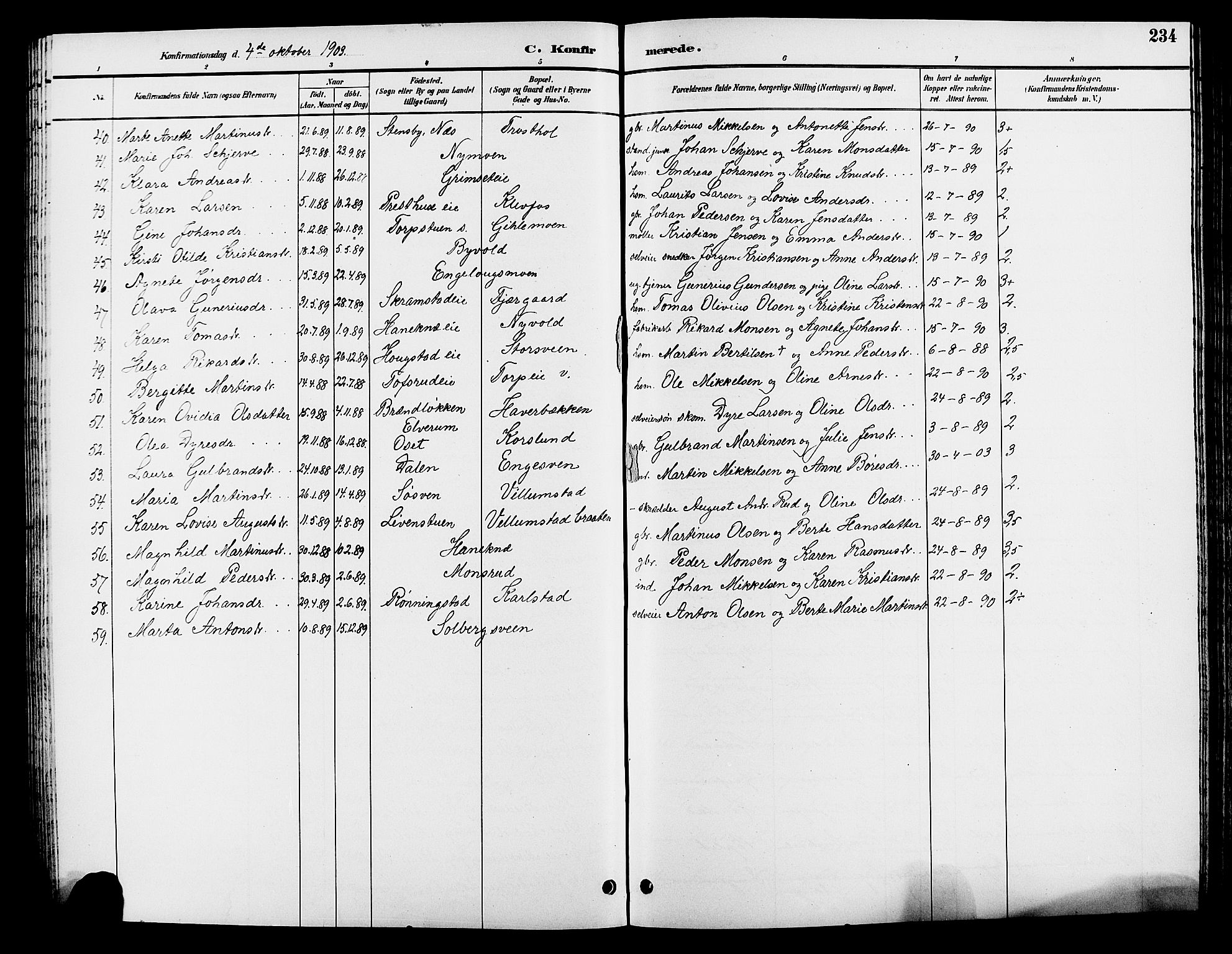 Løten prestekontor, AV/SAH-PREST-022/L/La/L0006: Parish register (copy) no. 6, 1892-1909, p. 234