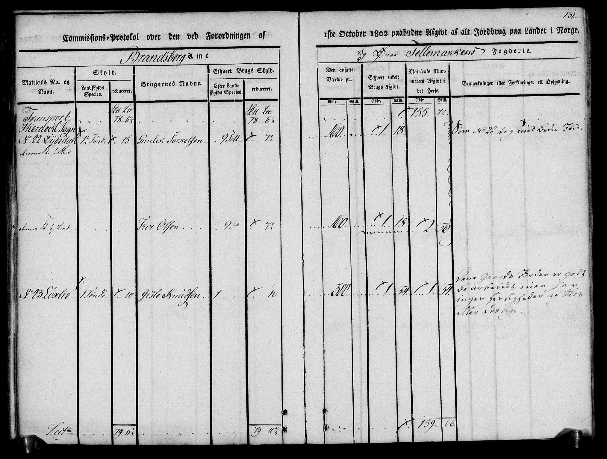 Rentekammeret inntil 1814, Realistisk ordnet avdeling, AV/RA-EA-4070/N/Ne/Nea/L0074: Øvre Telemarken fogderi. Kommisjonsprotokoll for fogderiets østre del - Tinn, Hjartdal og Seljord prestegjeld., 1803, p. 131