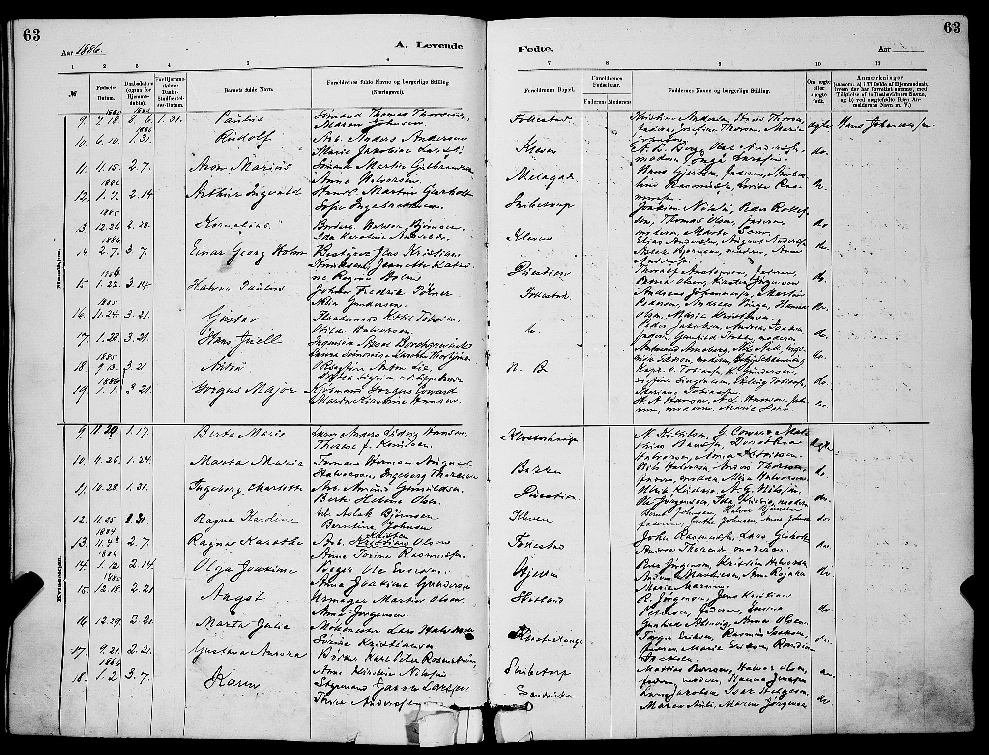 Skien kirkebøker, SAKO/A-302/G/Ga/L0006: Parish register (copy) no. 6, 1881-1890, p. 63
