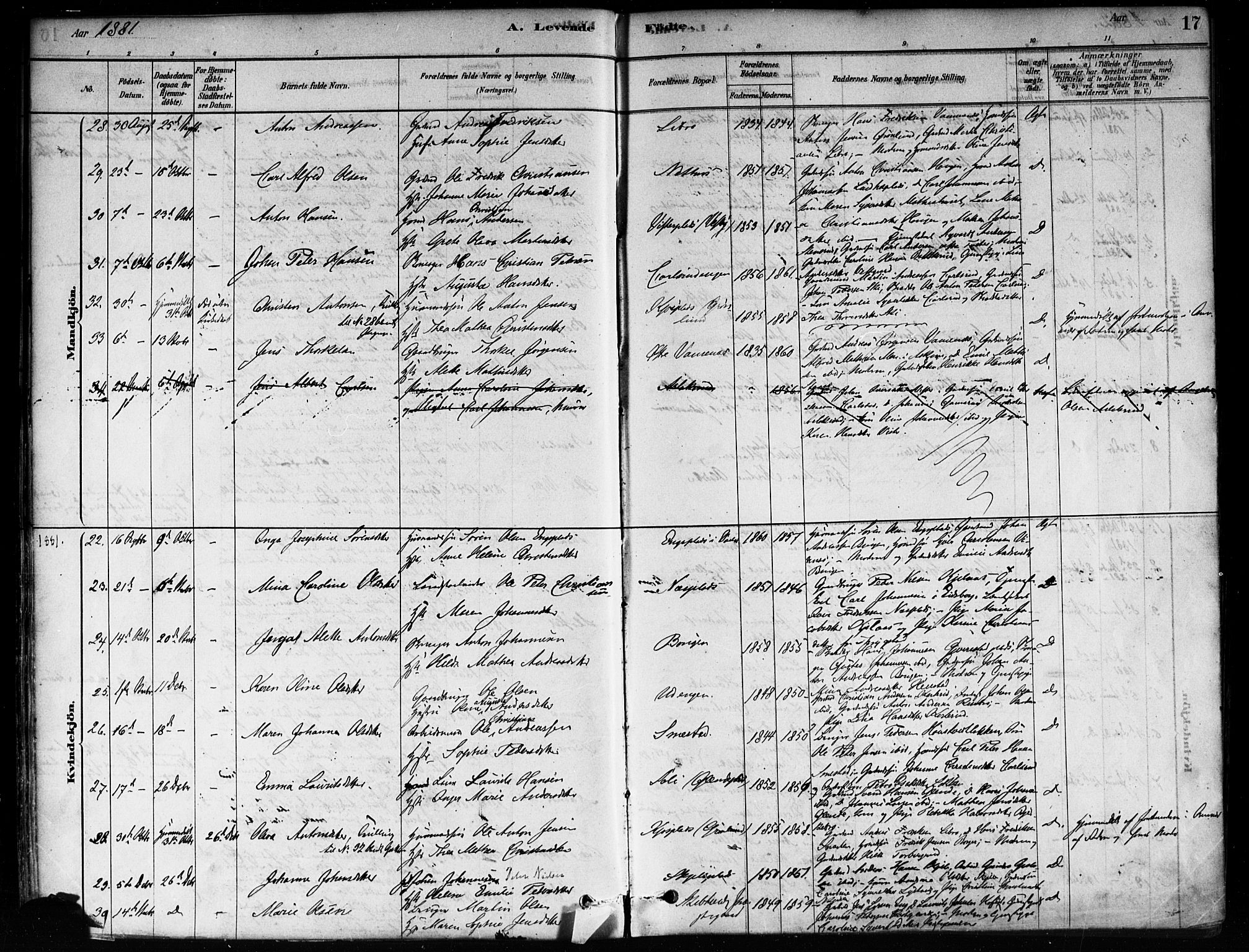 Skiptvet prestekontor Kirkebøker, SAO/A-20009/F/Fa/L0009: Parish register (official) no. 9, 1878-1900, p. 17