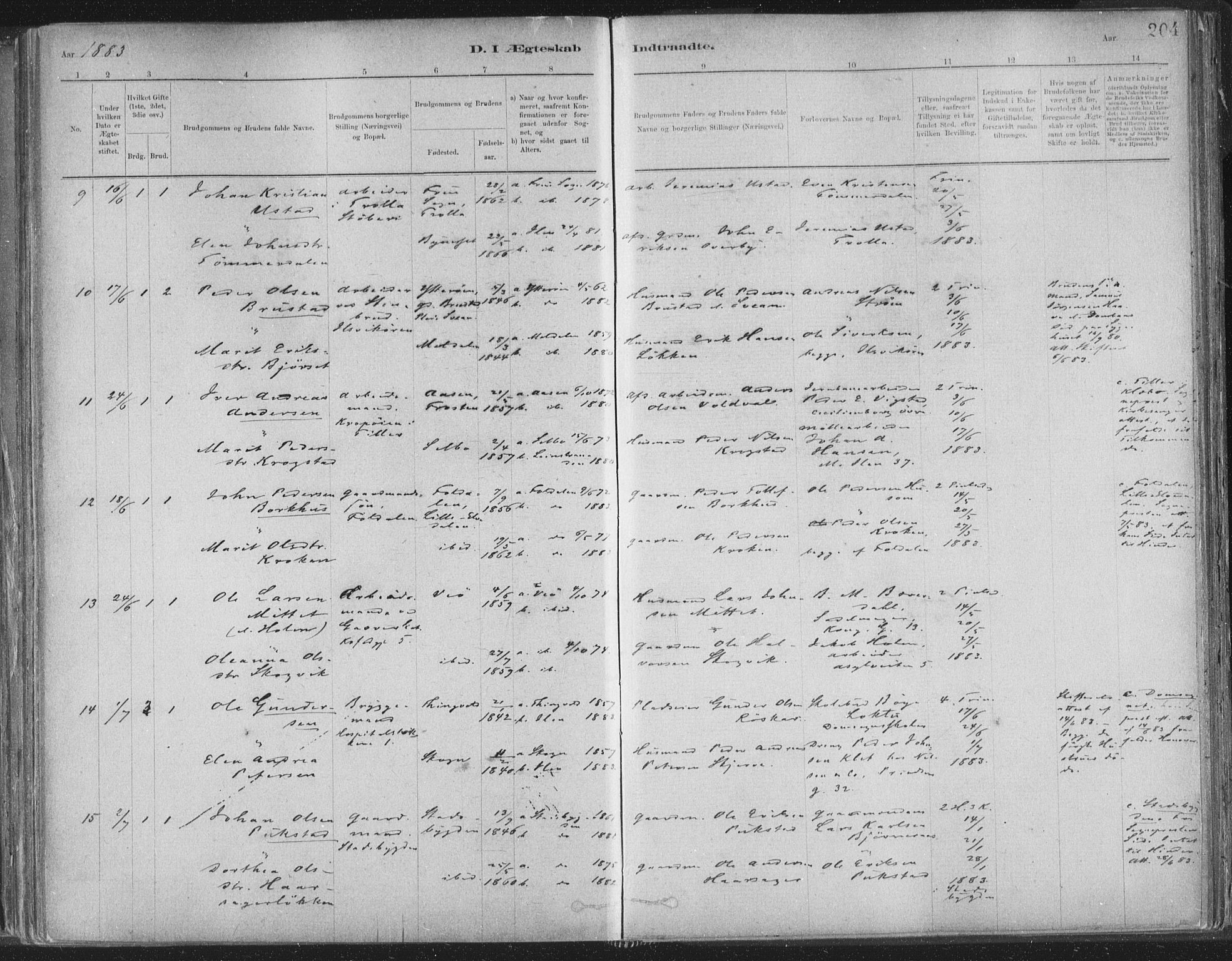 Ministerialprotokoller, klokkerbøker og fødselsregistre - Sør-Trøndelag, AV/SAT-A-1456/603/L0162: Parish register (official) no. 603A01, 1879-1895, p. 204