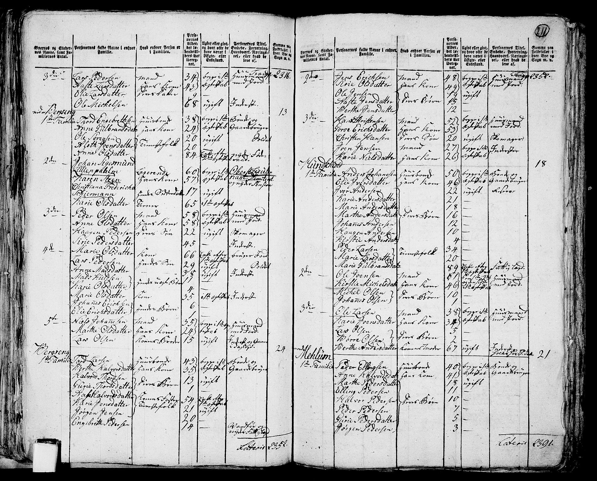RA, 1801 census for 0412P Ringsaker, 1801, p. 210b-211a