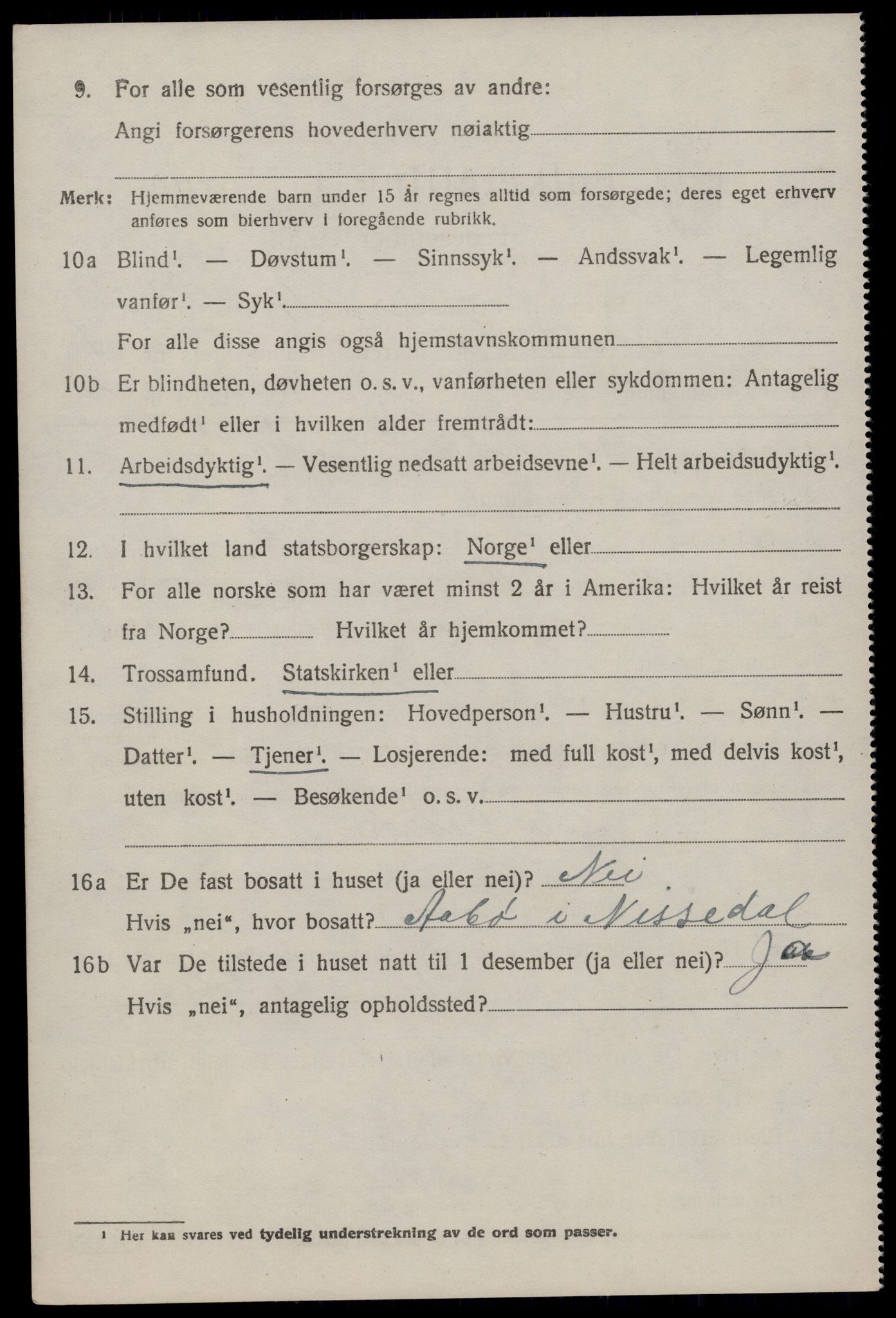 SAKO, 1920 census for Nissedal, 1920, p. 1284