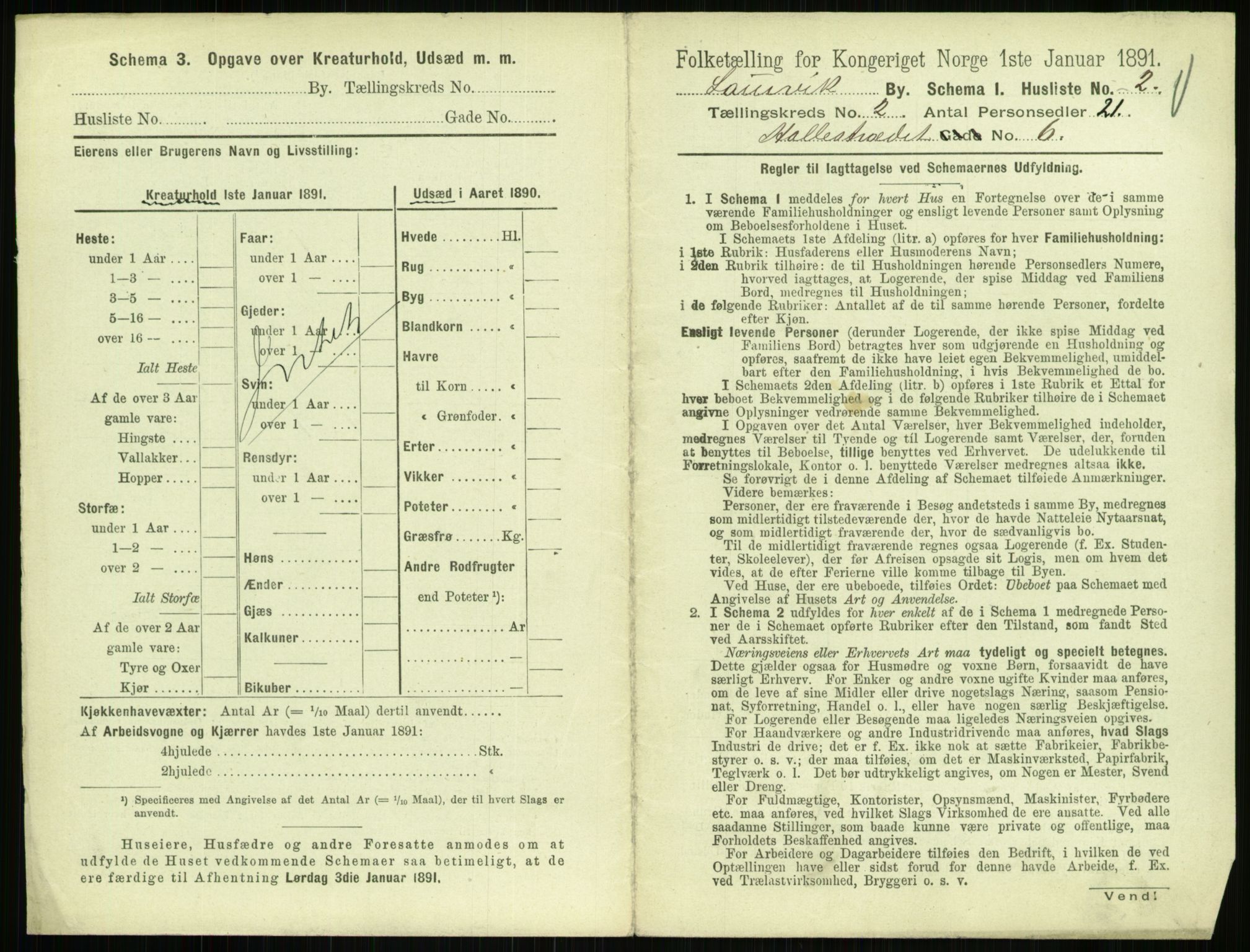 RA, 1891 census for 0707 Larvik, 1891, p. 223