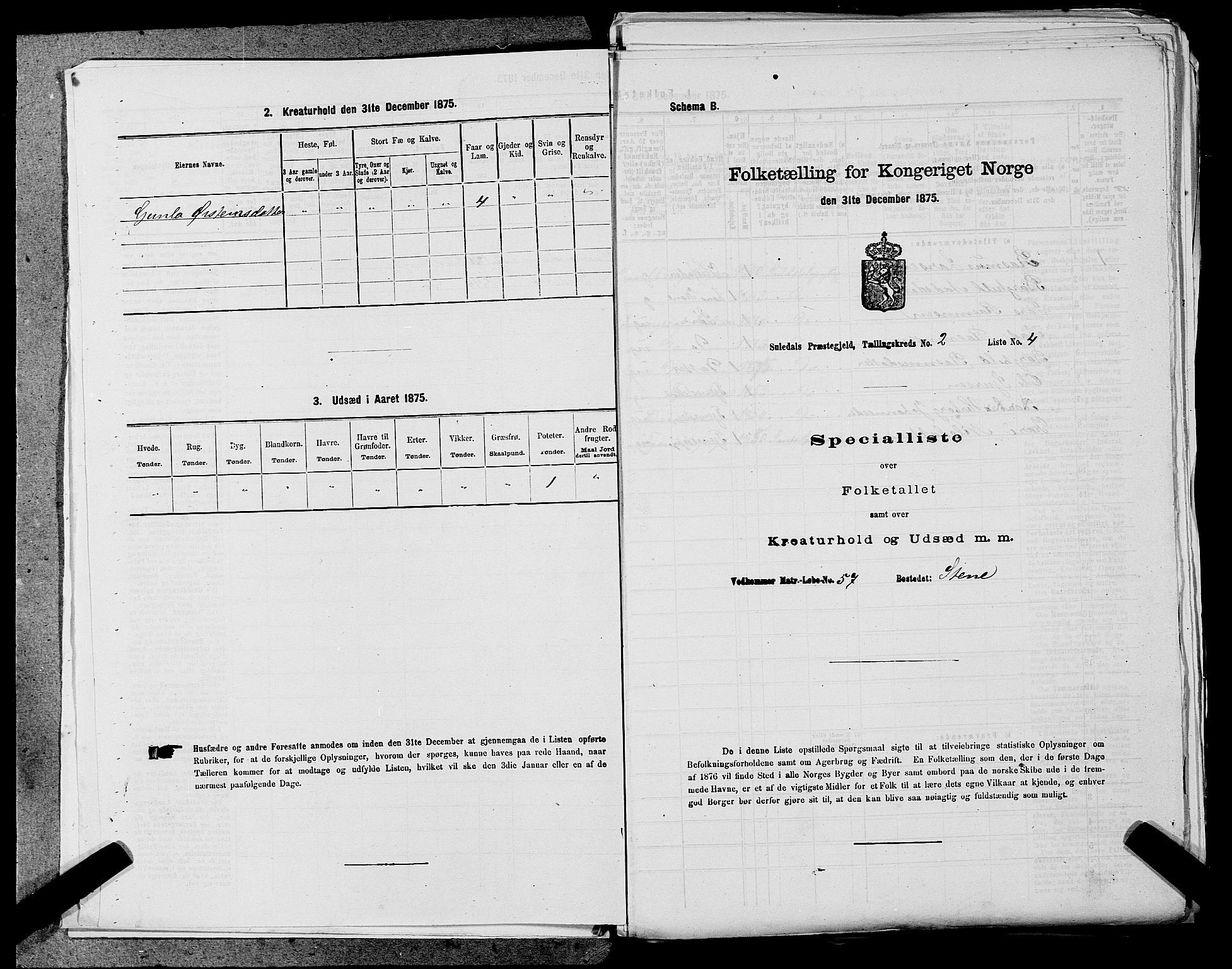 SAST, 1875 census for 1134P Suldal, 1875, p. 174