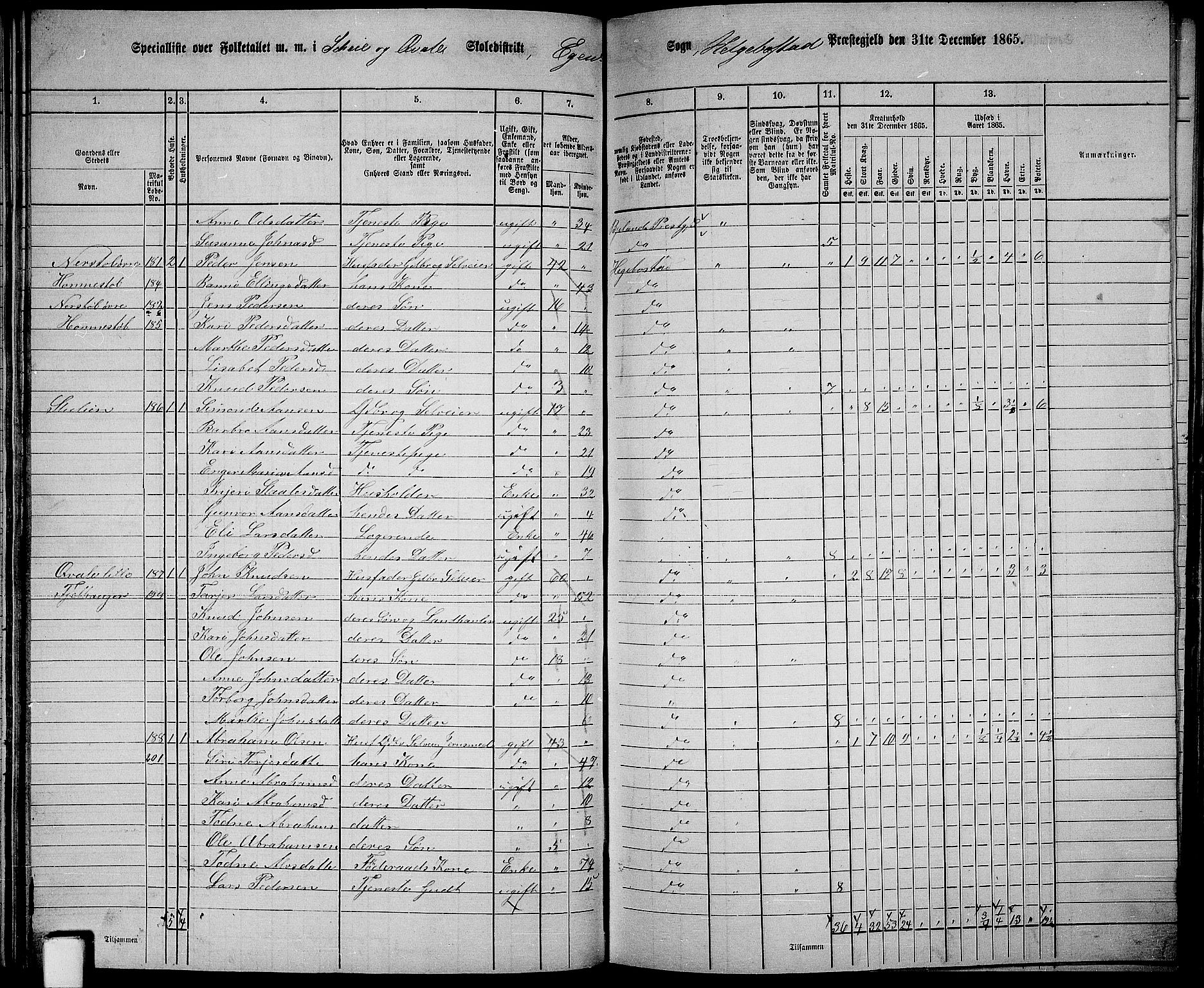 RA, 1865 census for Hægebostad, 1865, p. 64