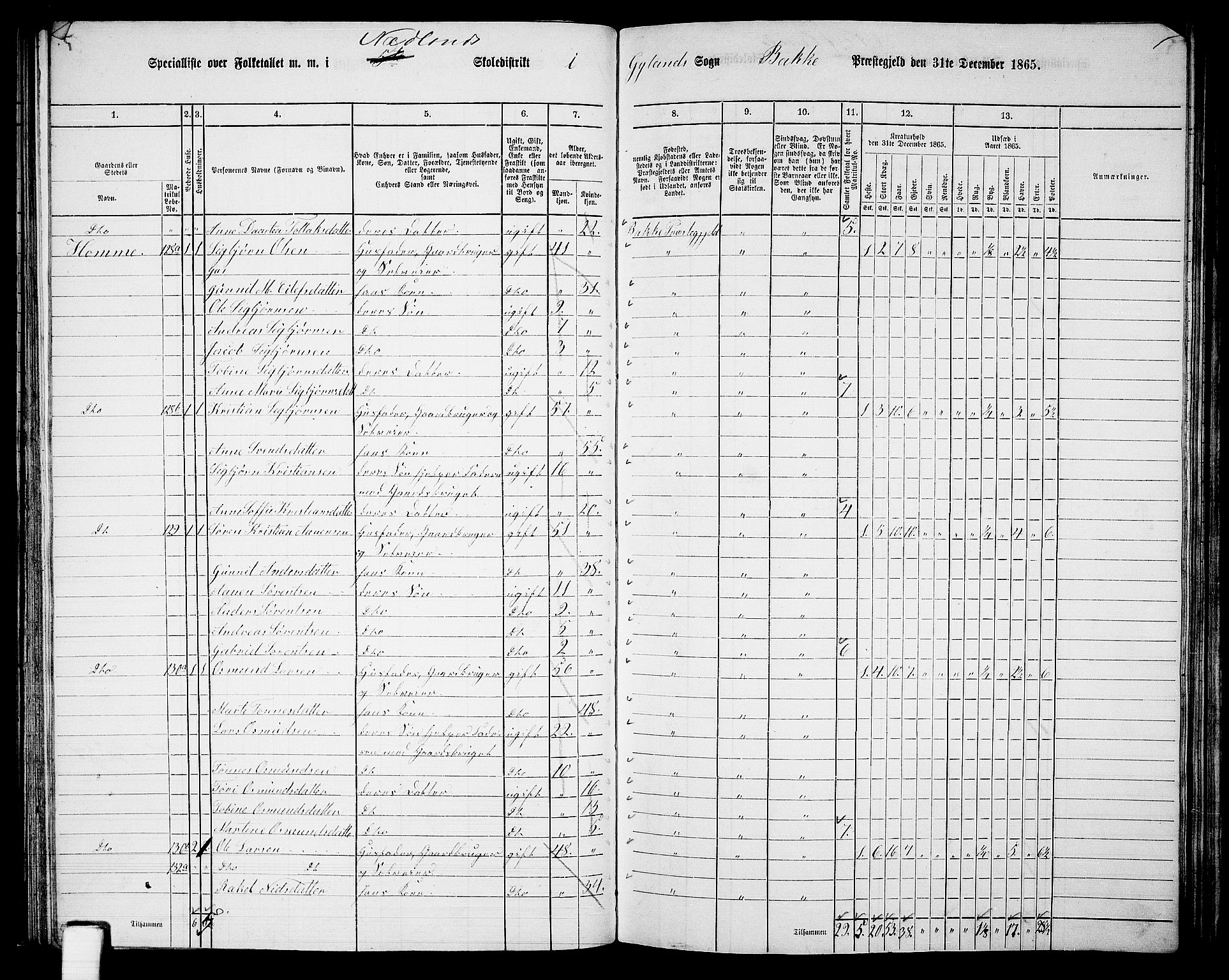 RA, 1865 census for Bakke, 1865, p. 53