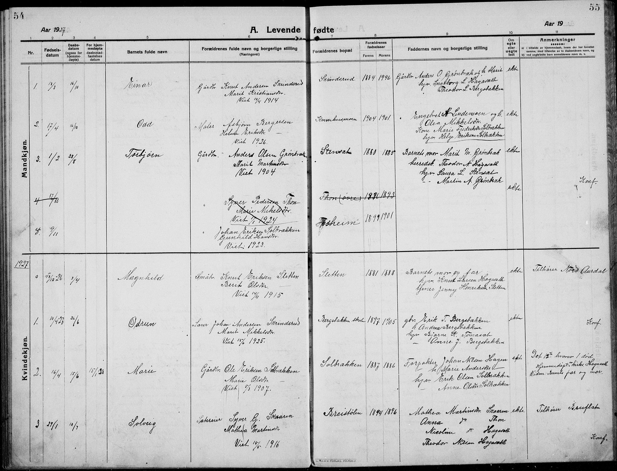 Etnedal prestekontor, SAH/PREST-130/H/Ha/Hab/Habb/L0002: Parish register (copy) no. II 2, 1912-1934, p. 54-55