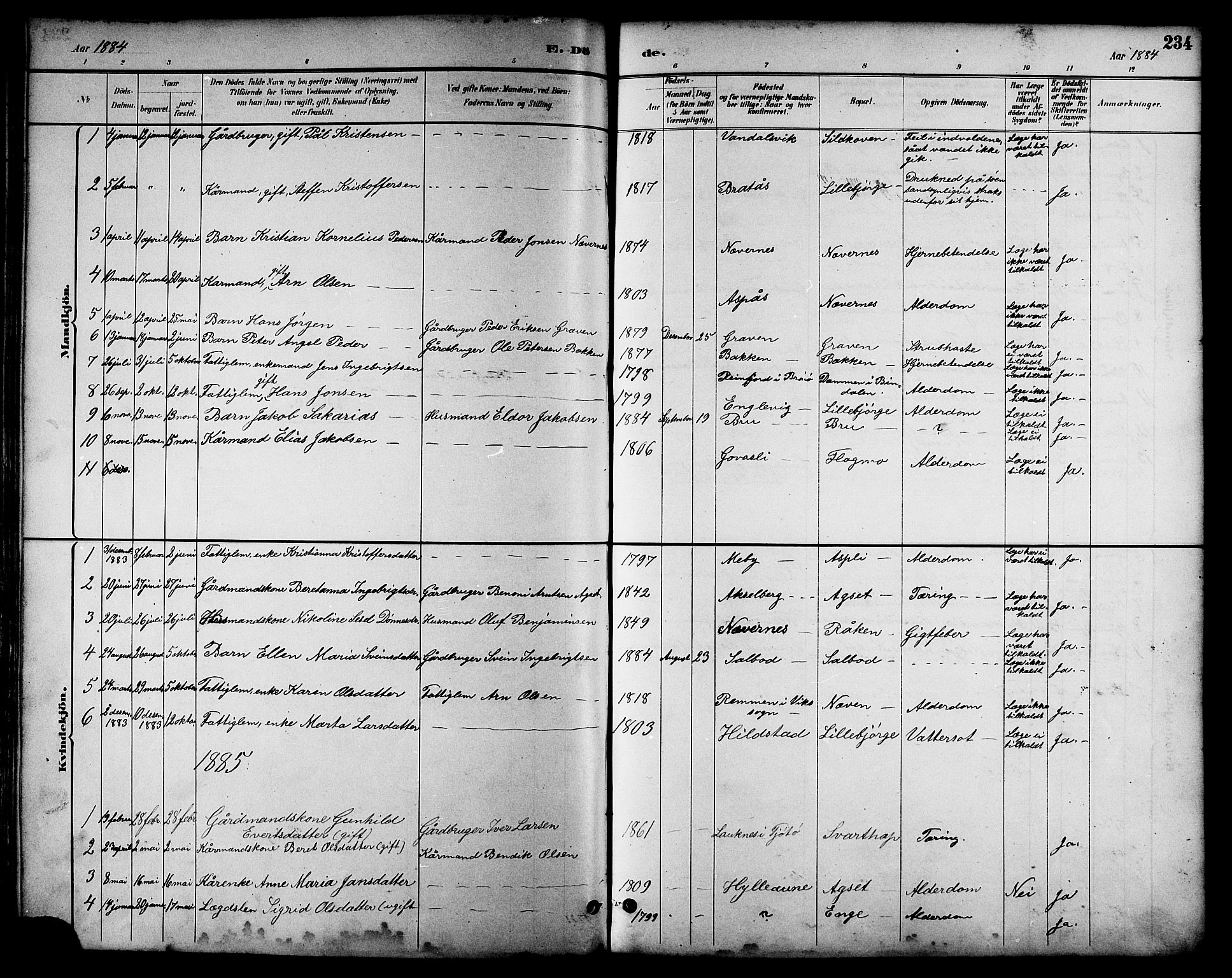 Ministerialprotokoller, klokkerbøker og fødselsregistre - Nordland, AV/SAT-A-1459/814/L0230: Parish register (copy) no. 814C03, 1884-1911, p. 234