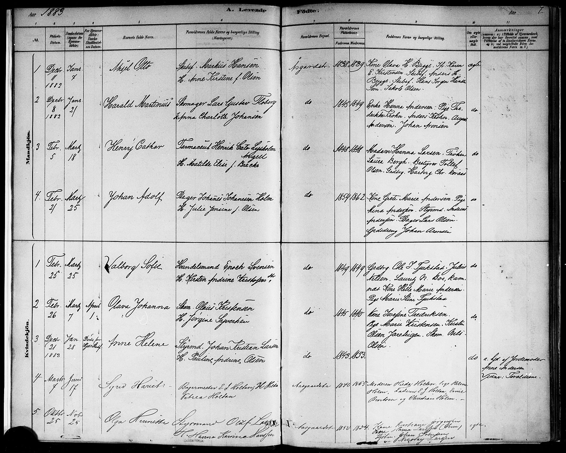 Borre kirkebøker, AV/SAKO-A-338/F/Fb/L0001: Parish register (official) no. II 1, 1878-1892, p. 7