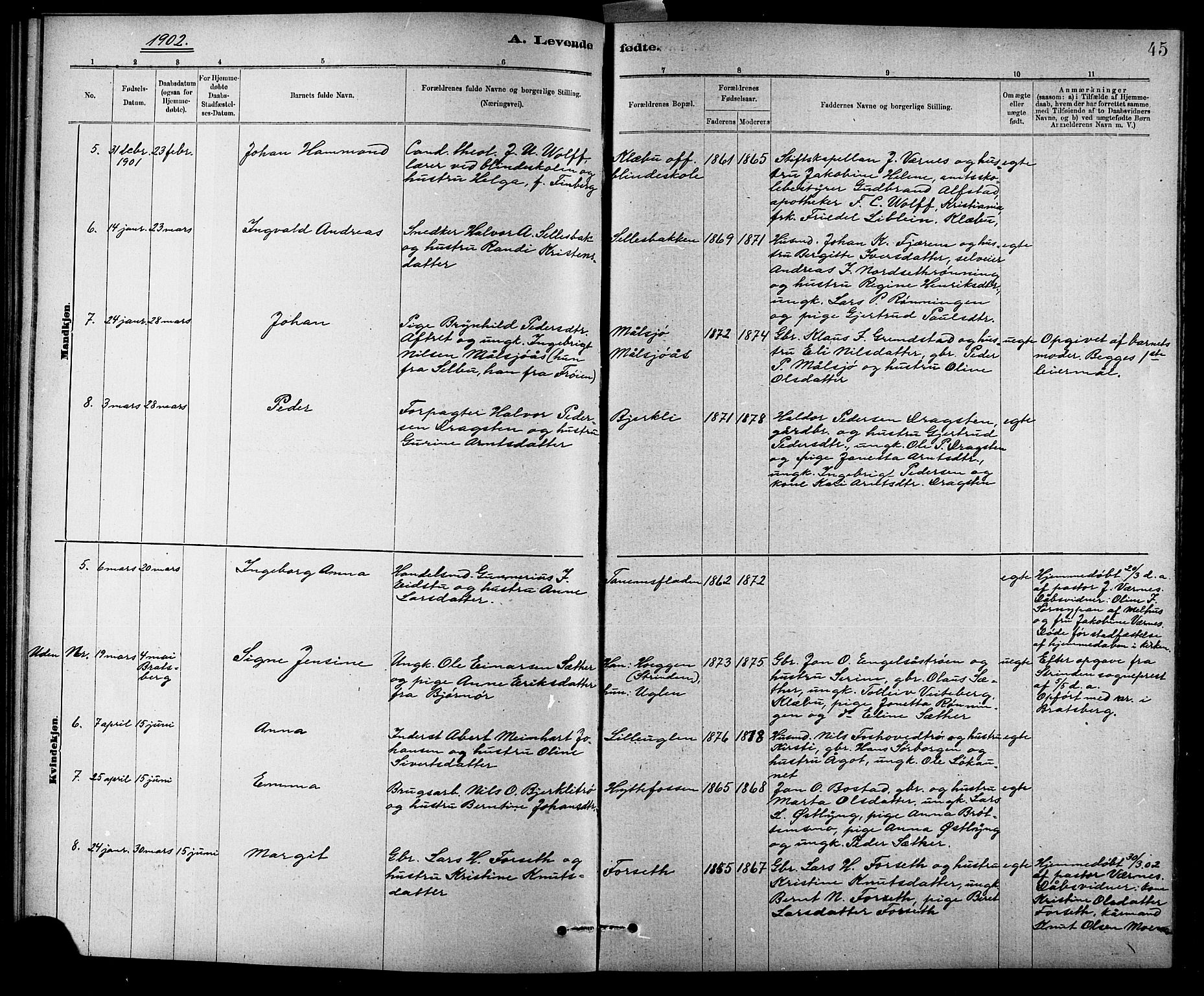 Ministerialprotokoller, klokkerbøker og fødselsregistre - Sør-Trøndelag, SAT/A-1456/618/L0452: Parish register (copy) no. 618C03, 1884-1906, p. 45