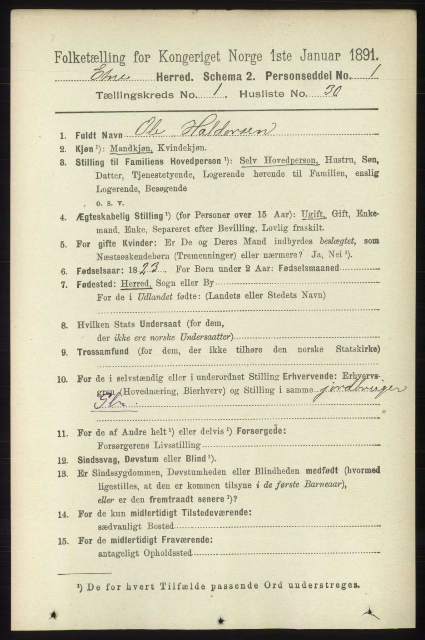RA, 1891 census for 1211 Etne, 1891, p. 221