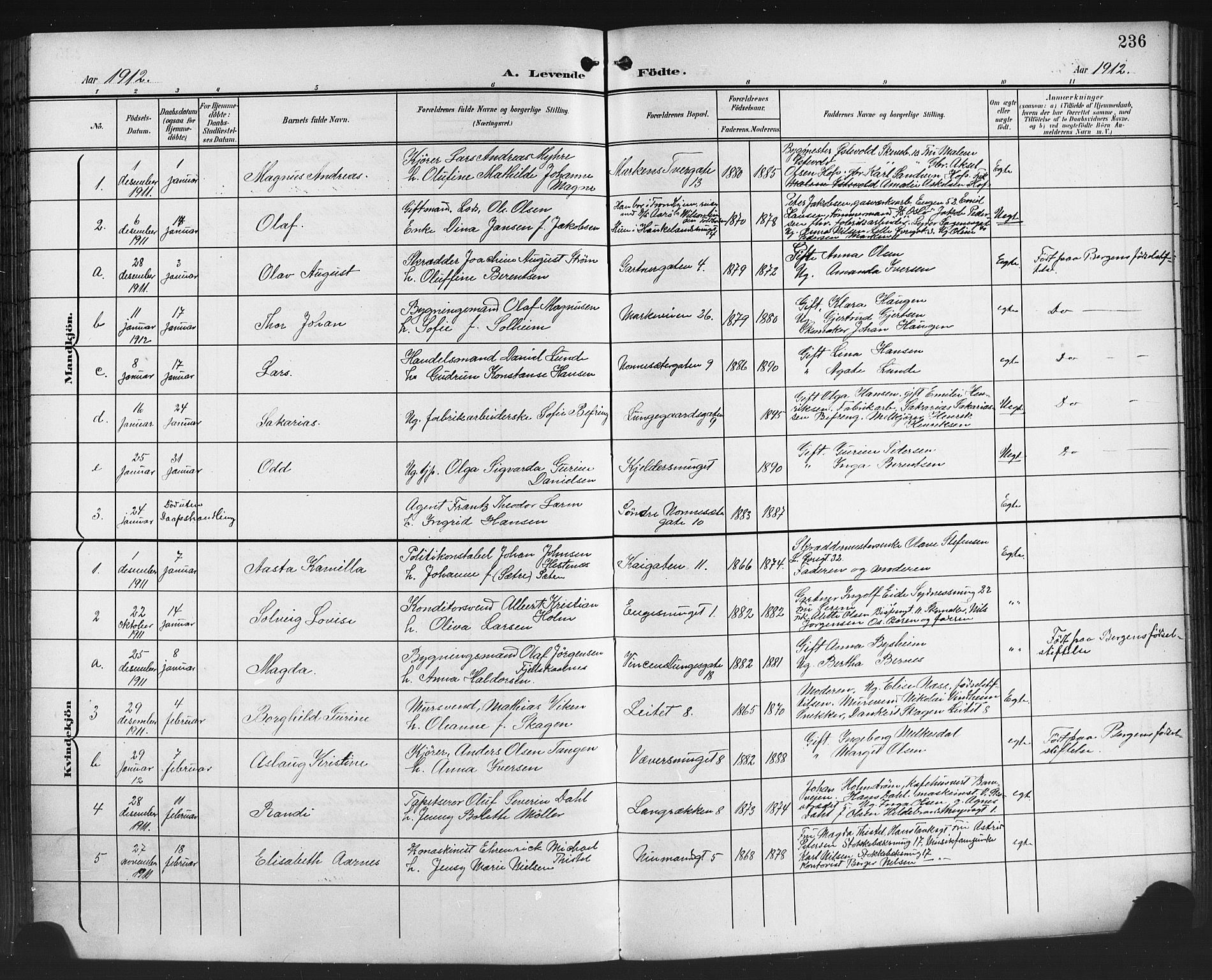 Domkirken sokneprestembete, SAB/A-74801/H/Hab/L0017: Parish register (copy) no. B 10, 1900-1915, p. 236