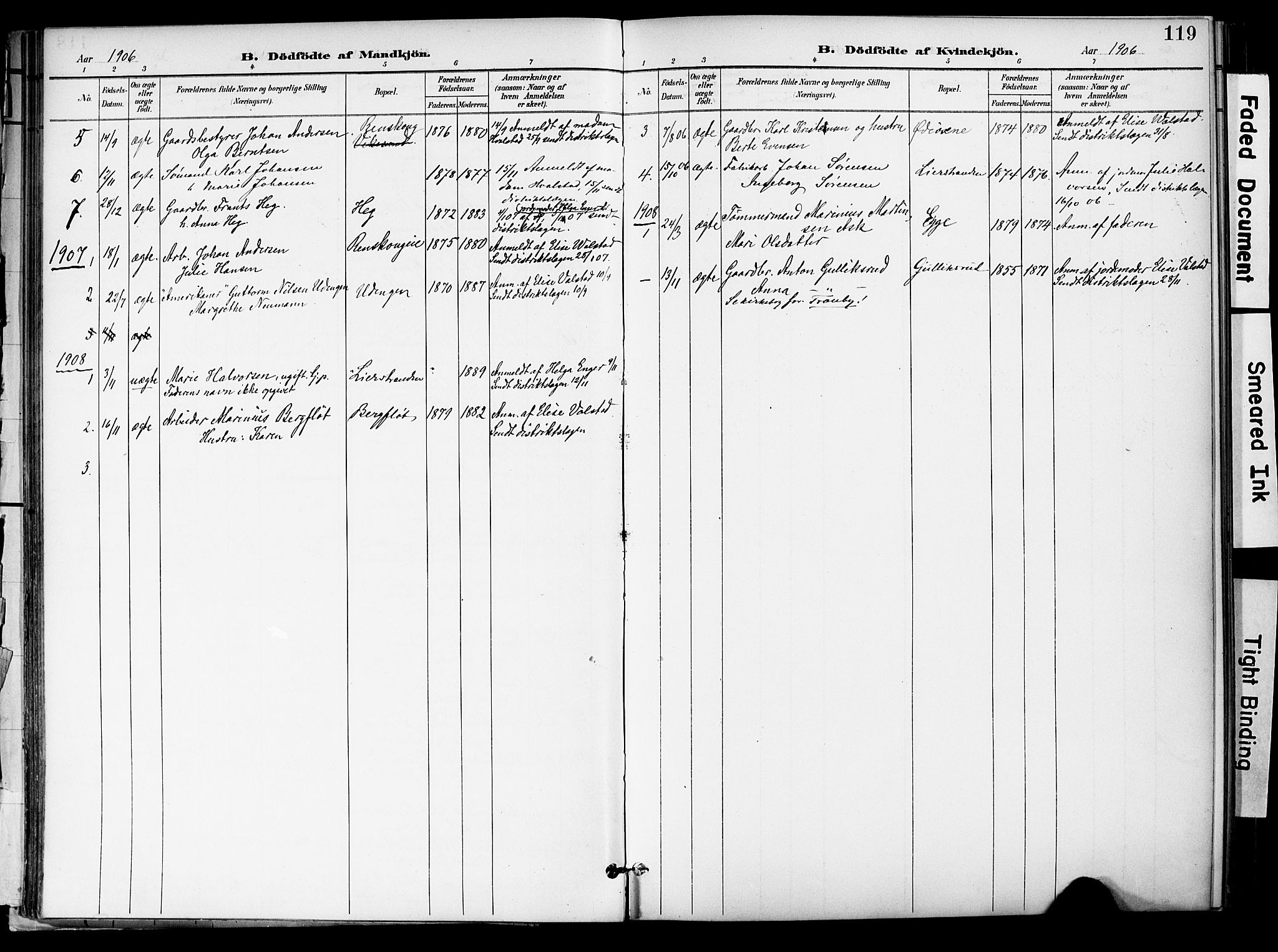 Lier kirkebøker, AV/SAKO-A-230/F/Fa/L0017: Parish register (official) no. I 17, 1901-1908, p. 119