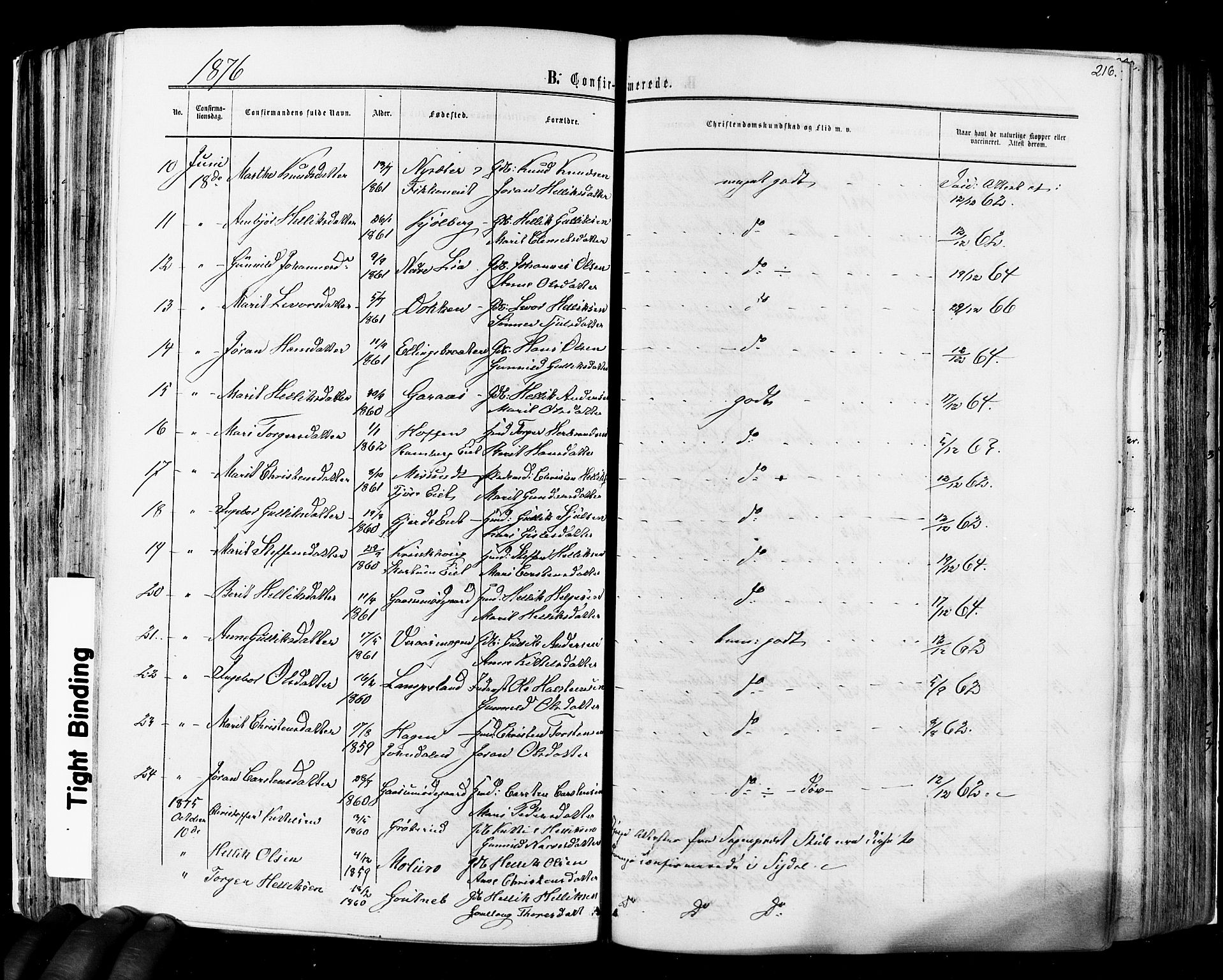 Flesberg kirkebøker, AV/SAKO-A-18/F/Fa/L0007: Parish register (official) no. I 7, 1861-1878, p. 216