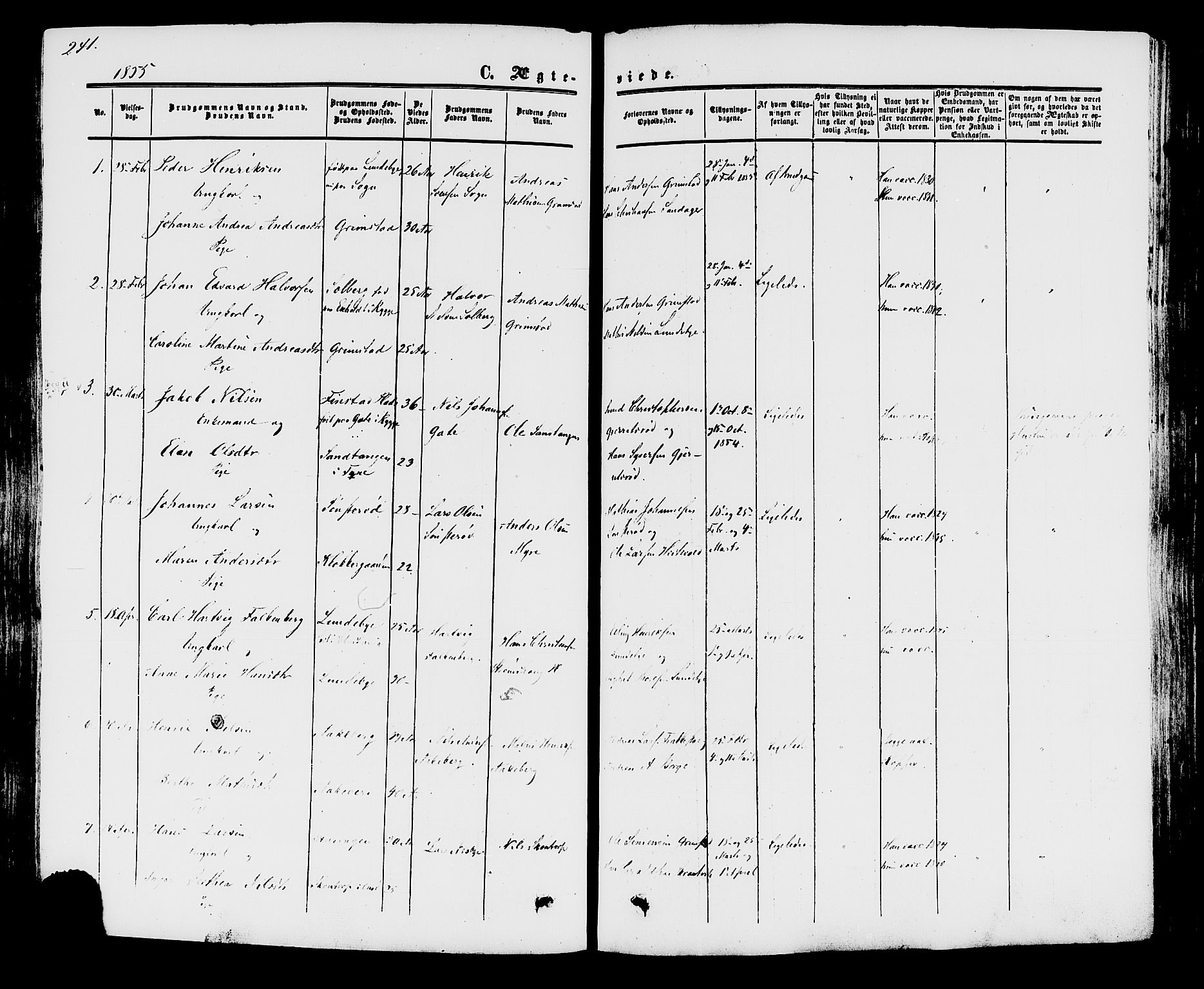 Råde prestekontor kirkebøker, AV/SAO-A-2009/F/Fa/L0006: Parish register (official) no. 6, 1854-1877, p. 241