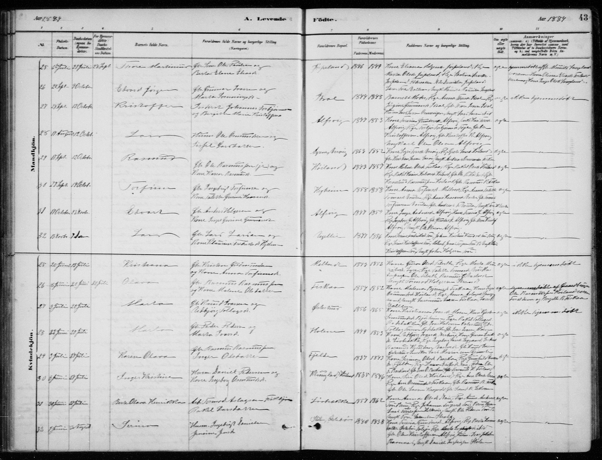 Strand sokneprestkontor, AV/SAST-A-101828/H/Ha/Hab/L0004: Parish register (copy) no. B 4, 1878-1903, p. 43