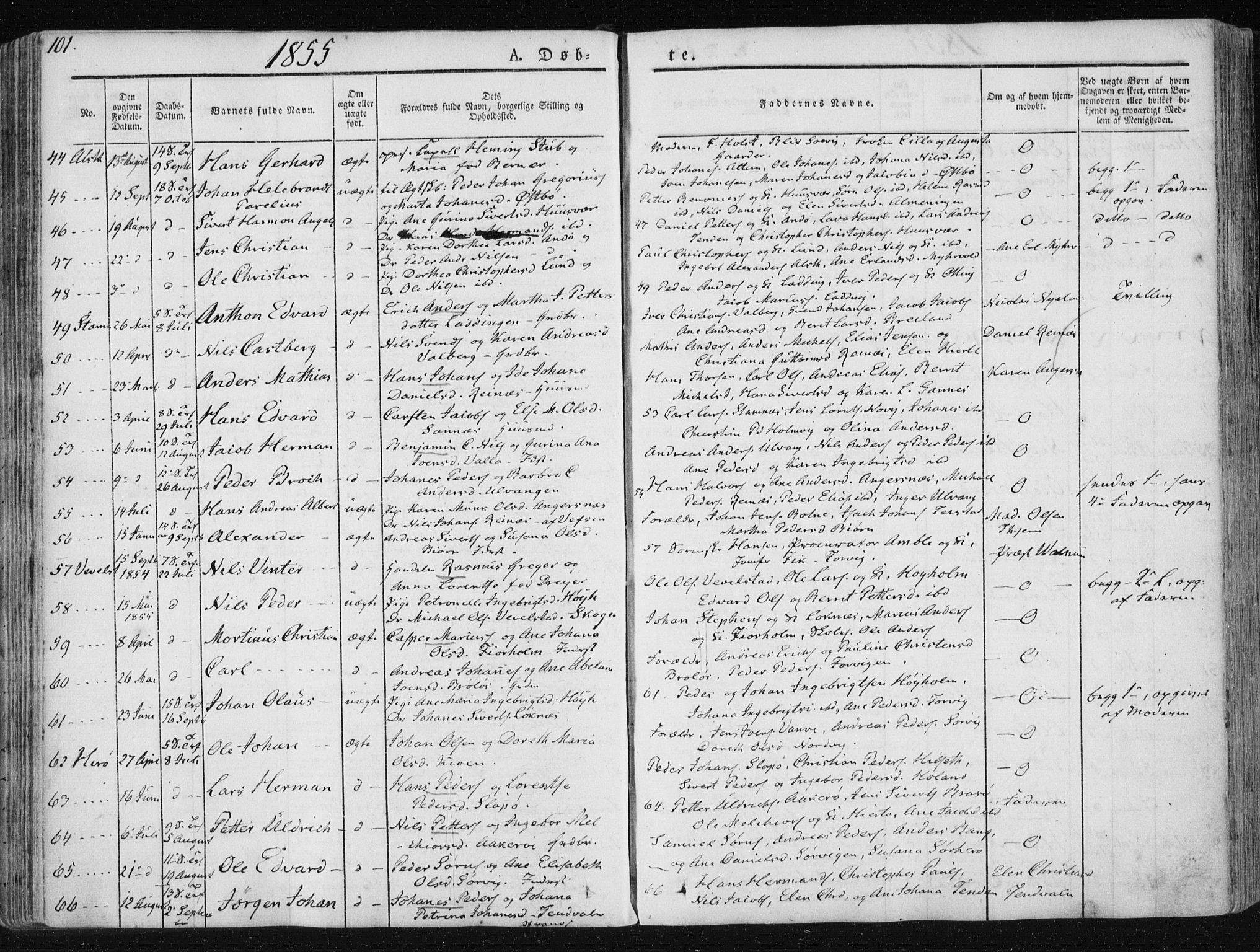 Ministerialprotokoller, klokkerbøker og fødselsregistre - Nordland, SAT/A-1459/830/L0446: Parish register (official) no. 830A10, 1831-1865, p. 101