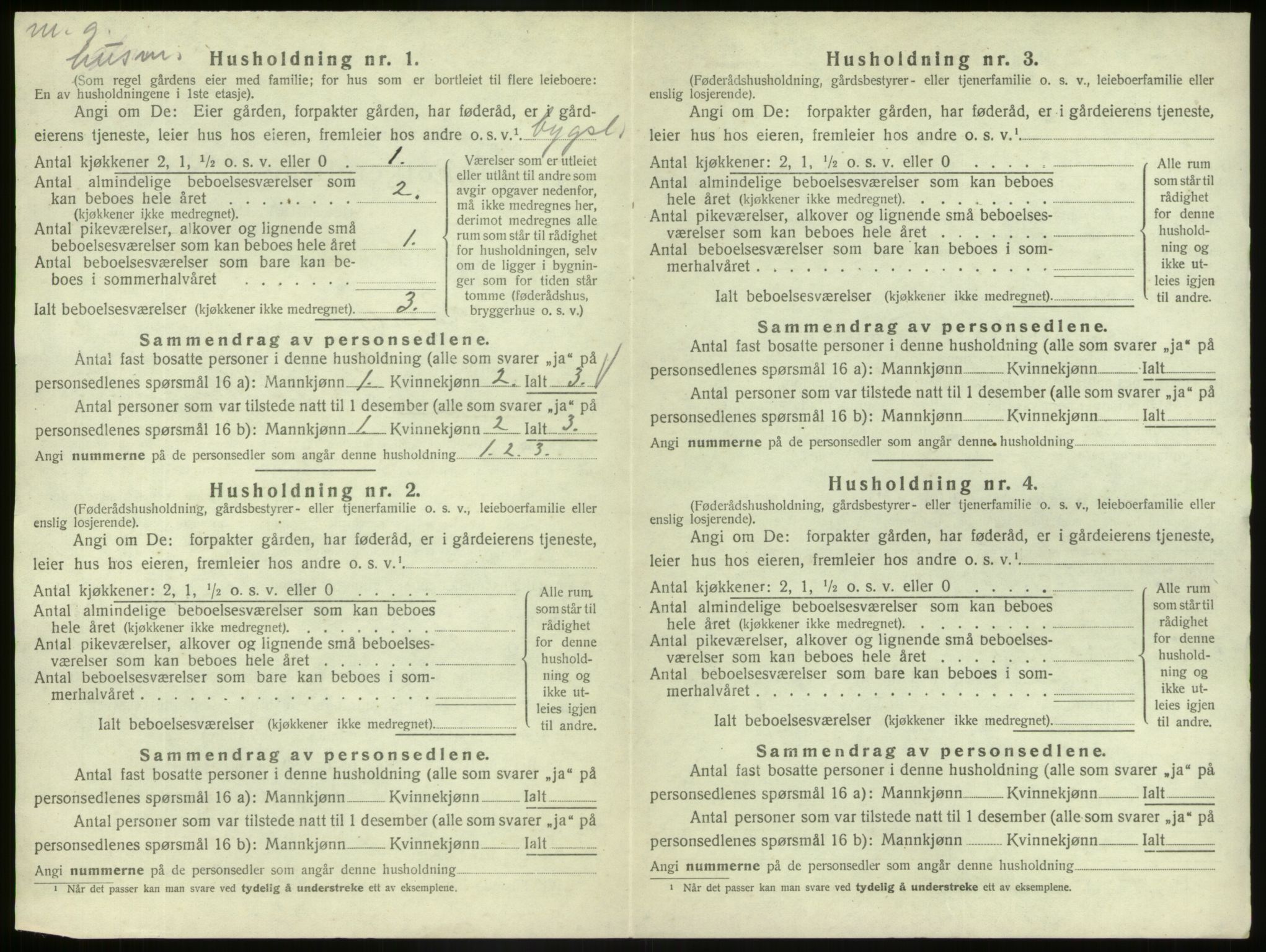 SAB, 1920 census for Hafslo, 1920, p. 205