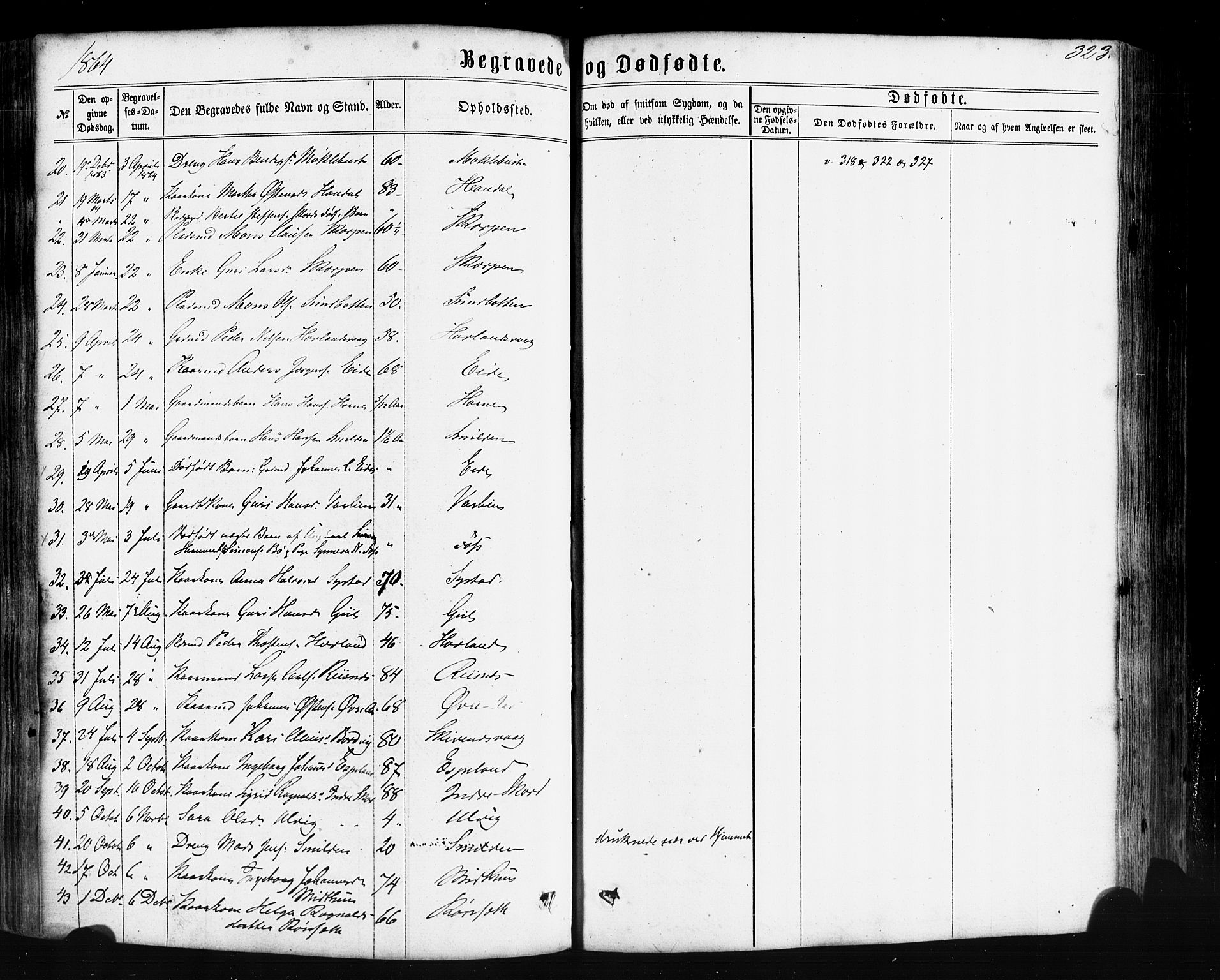 Hyllestad sokneprestembete, AV/SAB-A-80401: Parish register (official) no. A 1, 1861-1886, p. 323