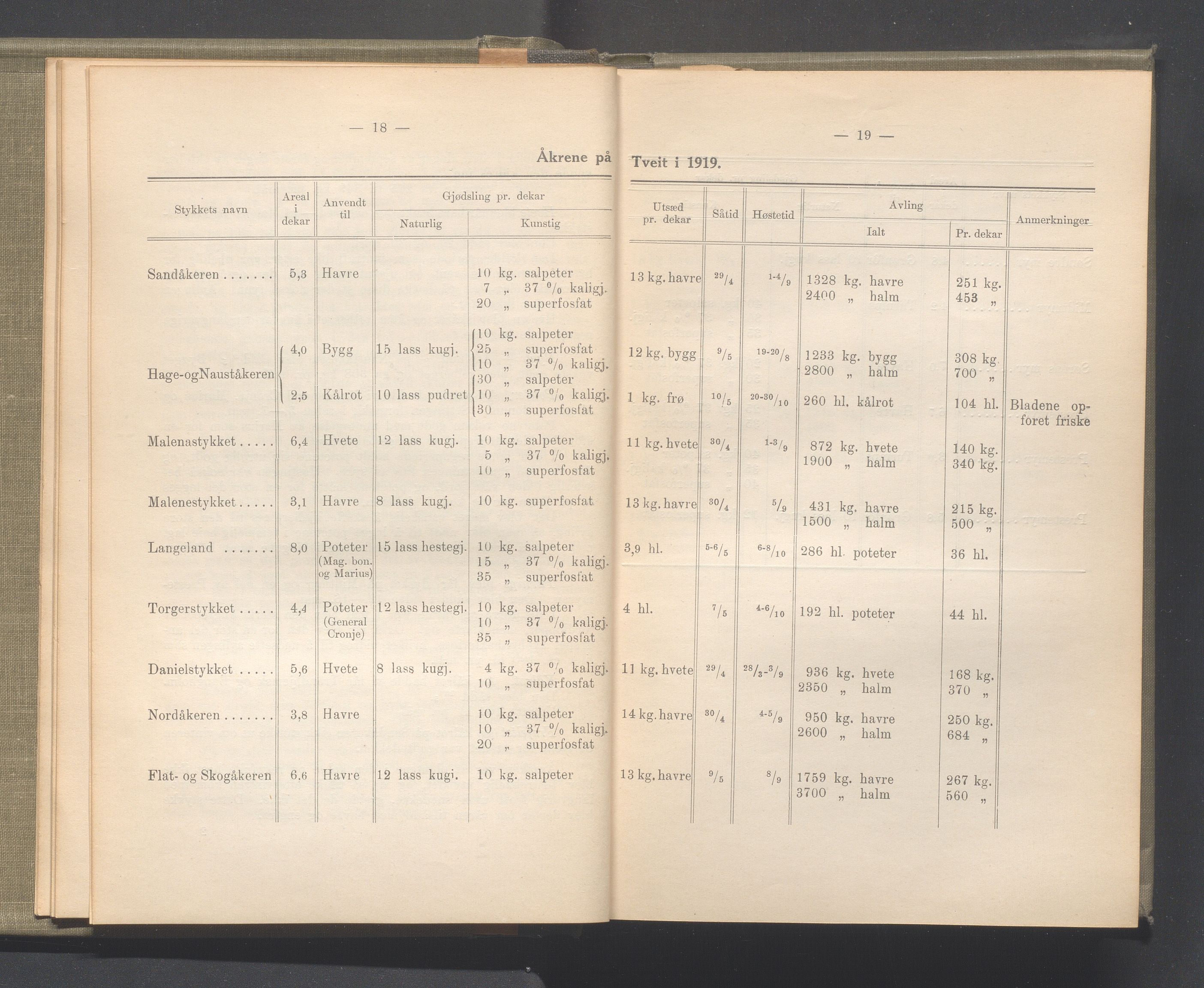 Rogaland fylkeskommune - Fylkesrådmannen , IKAR/A-900/A/Aa/Aaa/L0040: Møtebok , 1921, p. 18-19