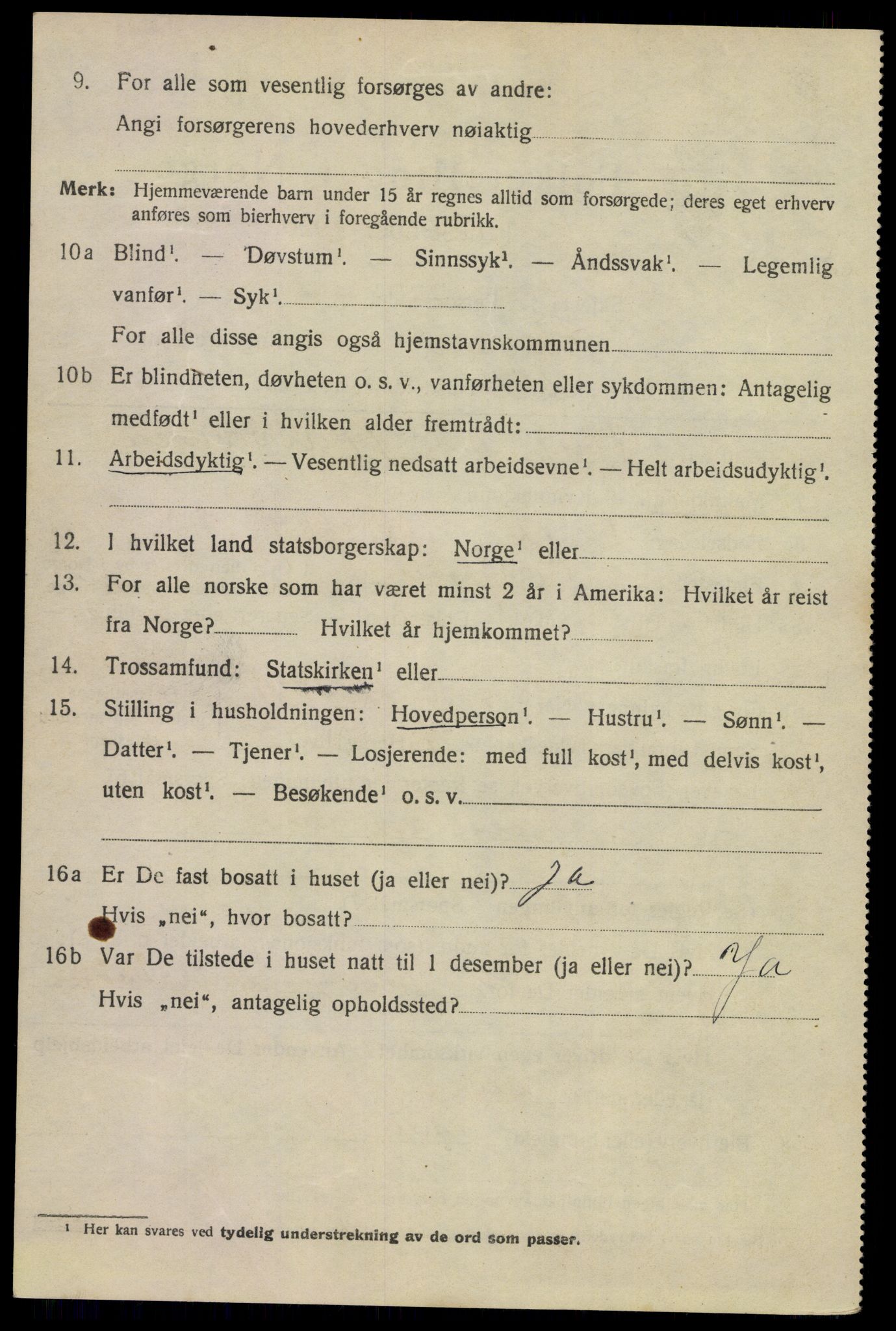 SAKO, 1920 census for Porsgrunn, 1920, p. 17350