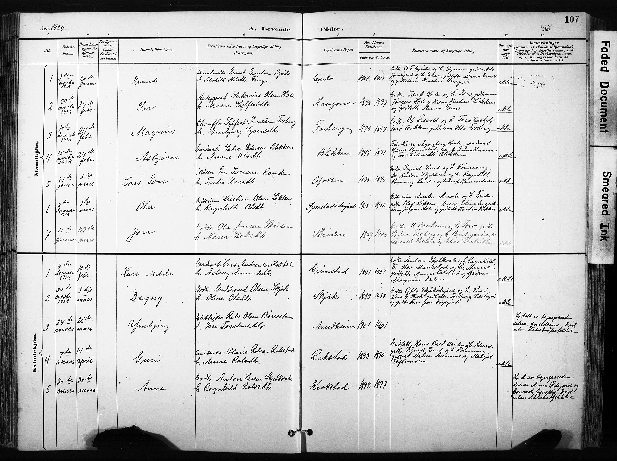 Skjåk prestekontor, AV/SAH-PREST-072/H/Ha/Hab/L0003: Parish register (copy) no. 3, 1893-1932, p. 107