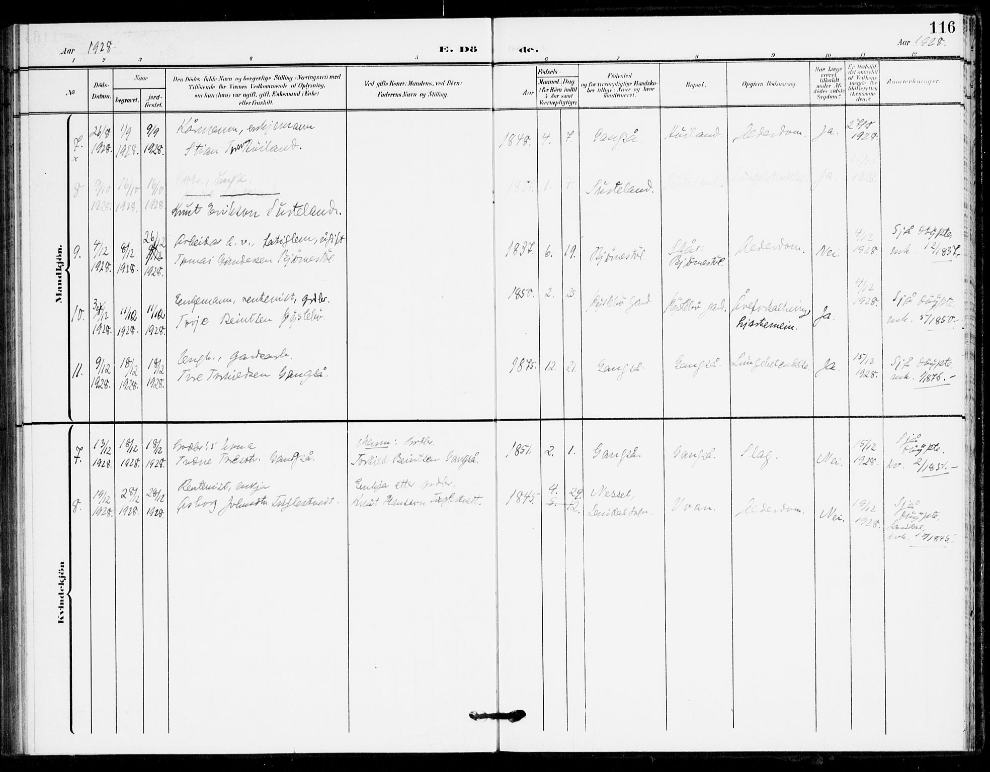 Holum sokneprestkontor, AV/SAK-1111-0022/F/Fa/Fac/L0005: Parish register (official) no. A 5, 1908-1930, p. 116