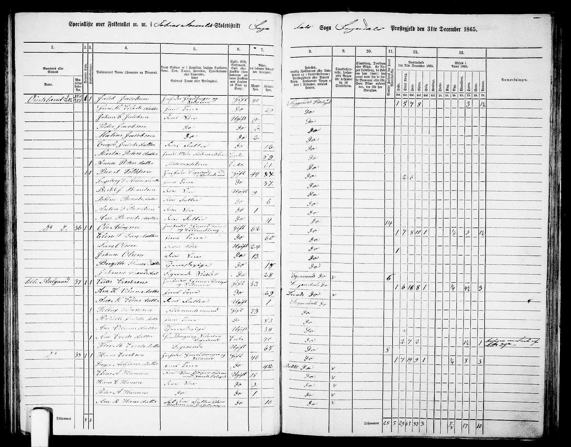 RA, 1865 census for Sokndal, 1865, p. 69