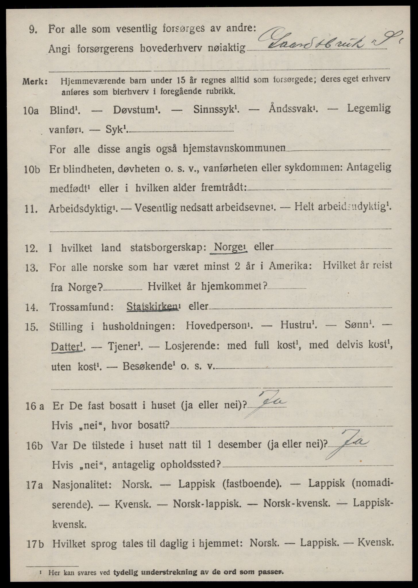 SAT, 1920 census for Hemne, 1920, p. 6897