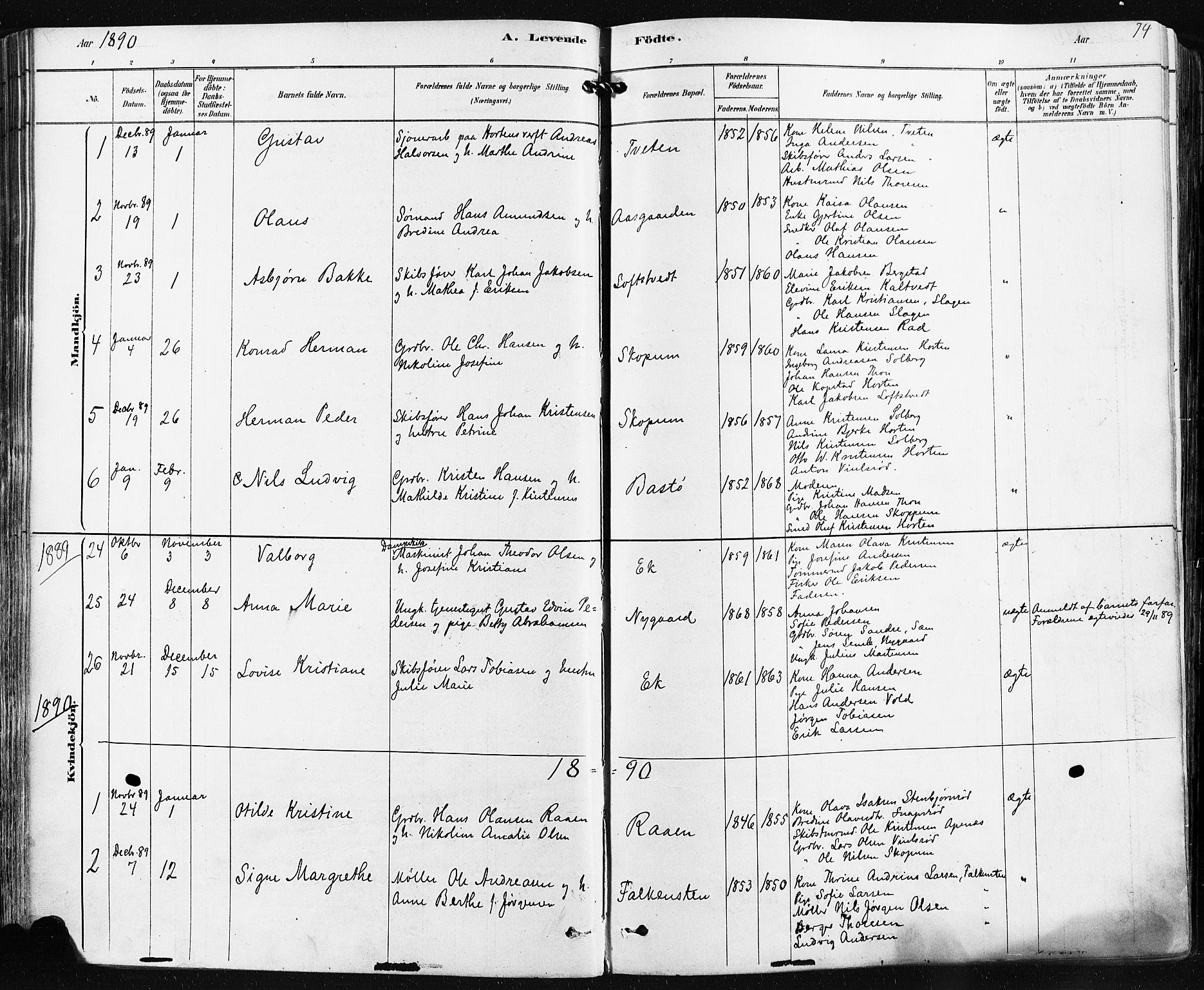 Borre kirkebøker, SAKO/A-338/F/Fa/L0009: Parish register (official) no. I 9, 1878-1896, p. 74