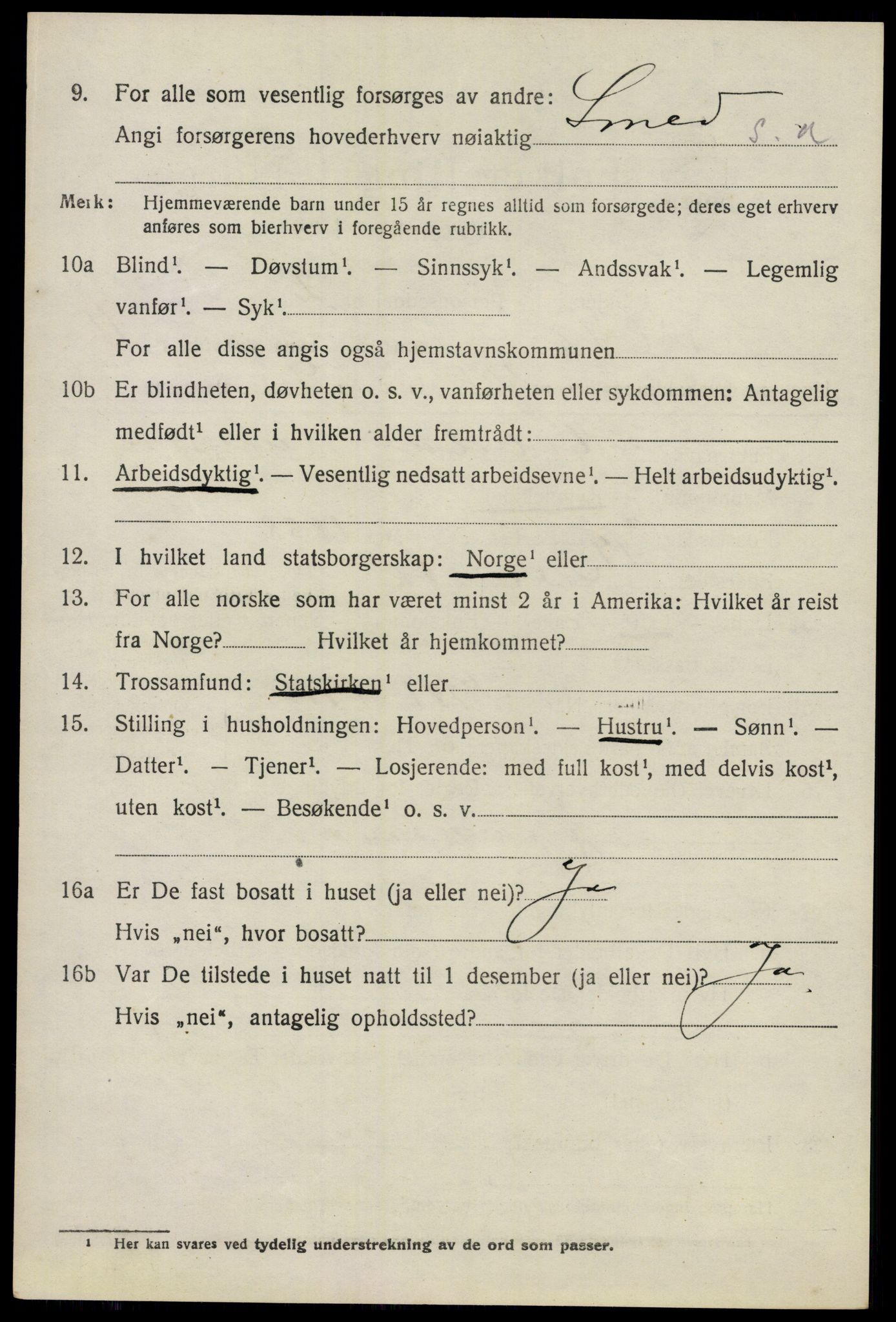 SAO, 1920 census for Nes, 1920, p. 11925