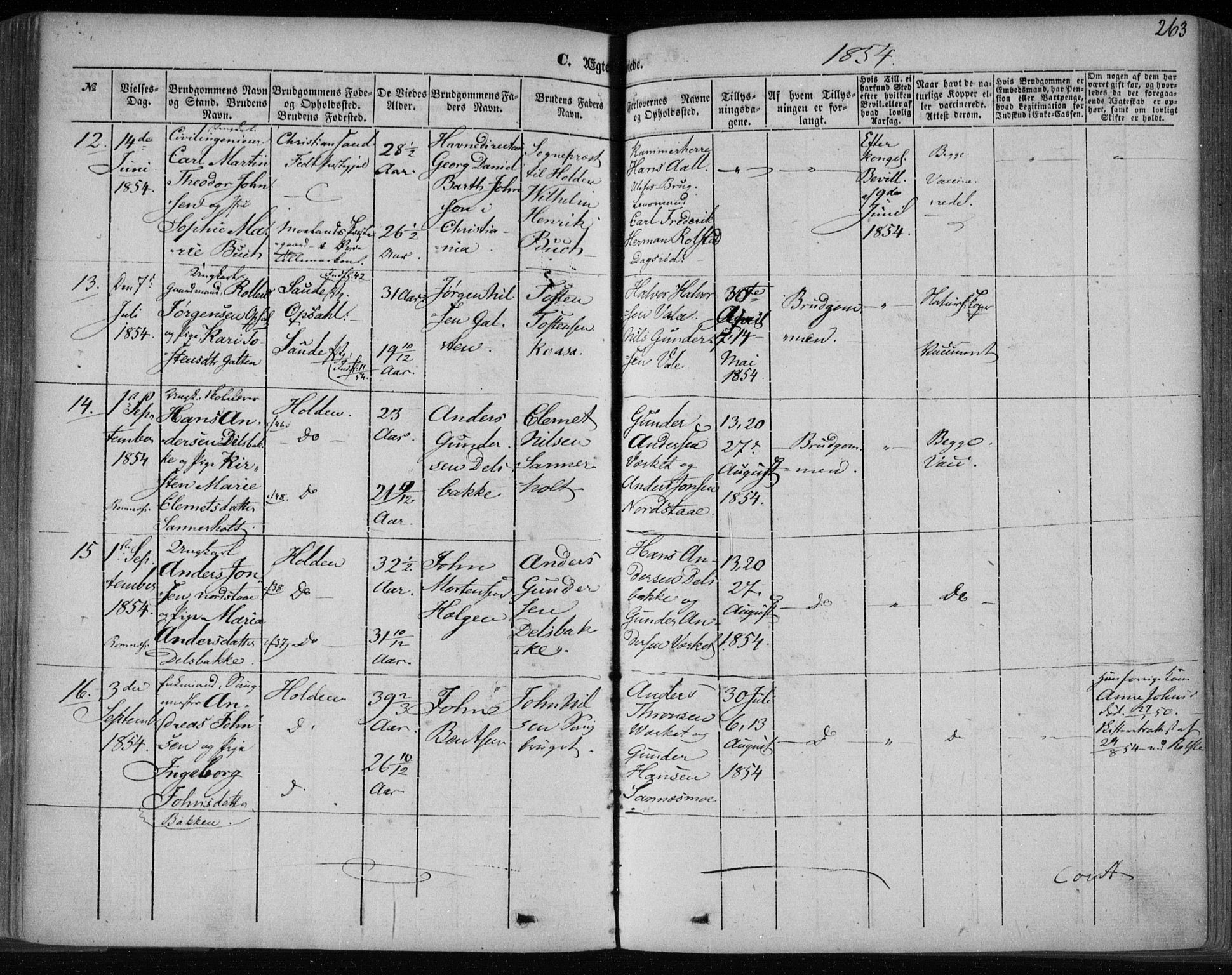 Holla kirkebøker, AV/SAKO-A-272/F/Fa/L0005: Parish register (official) no. 5, 1849-1860, p. 263