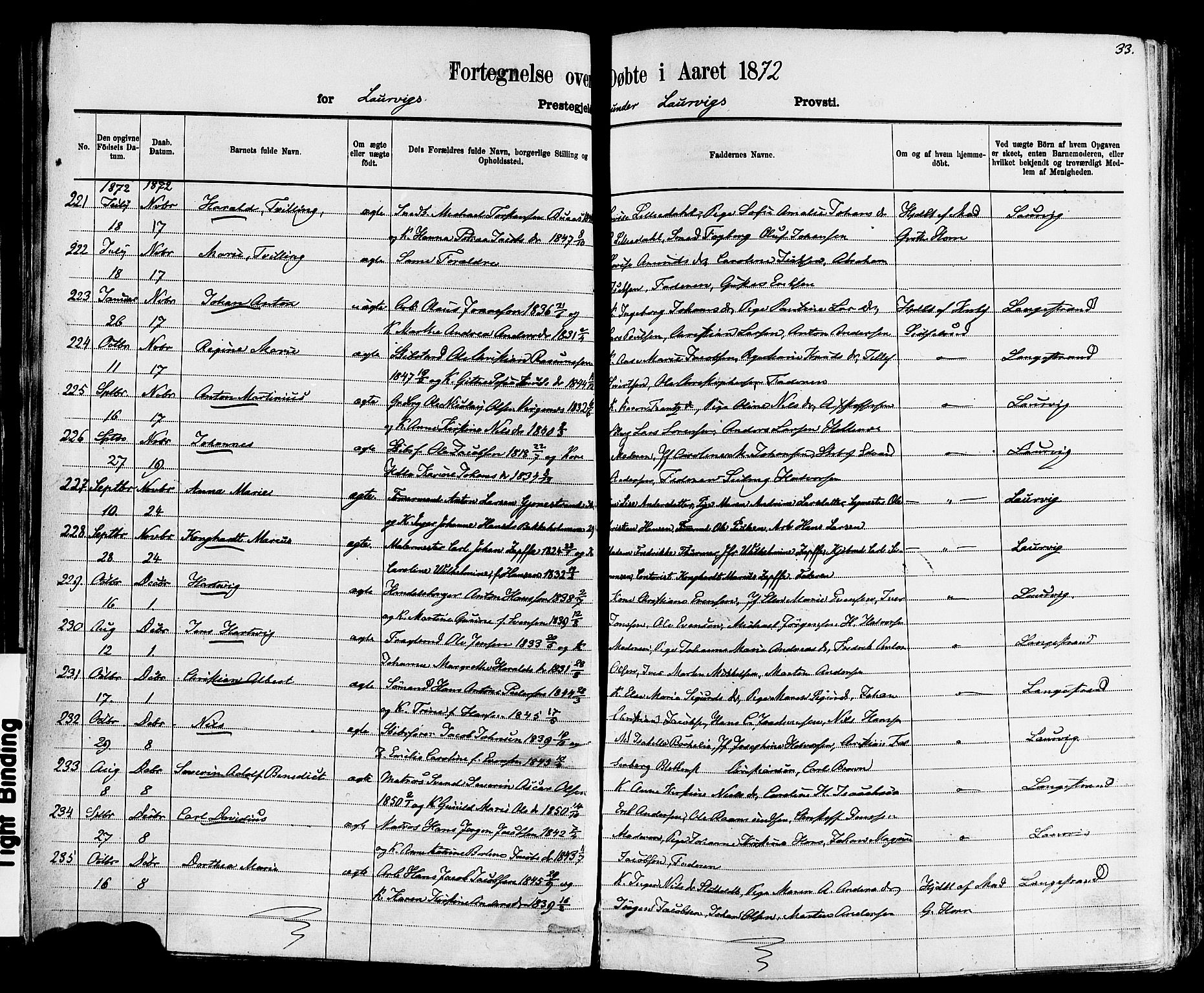 Larvik kirkebøker, AV/SAKO-A-352/F/Fa/L0006: Parish register (official) no. I 6, 1871-1883, p. 33