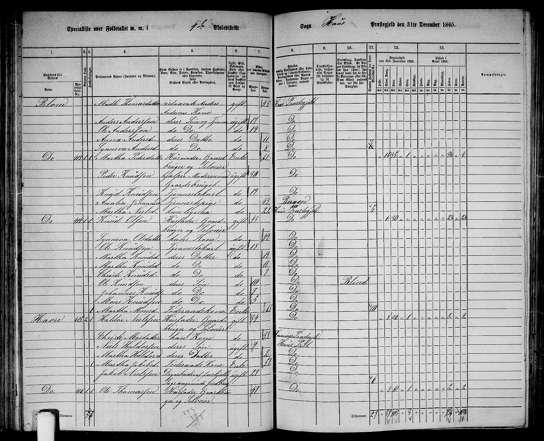 RA, 1865 census for Haus, 1865, p. 85