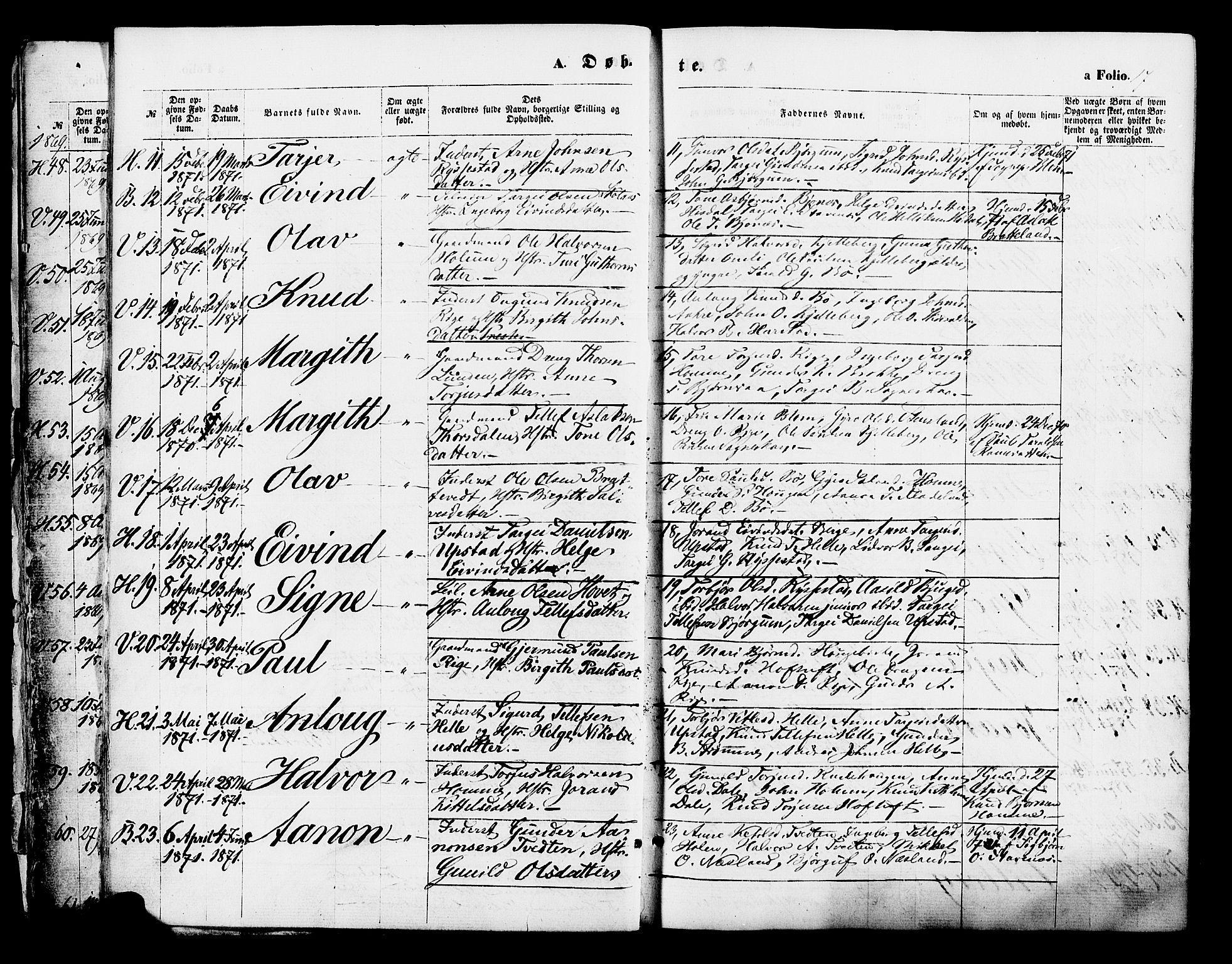 Valle sokneprestkontor, AV/SAK-1111-0044/F/Fa/Fac/L0008: Parish register (official) no. A 8, 1868-1882, p. 17