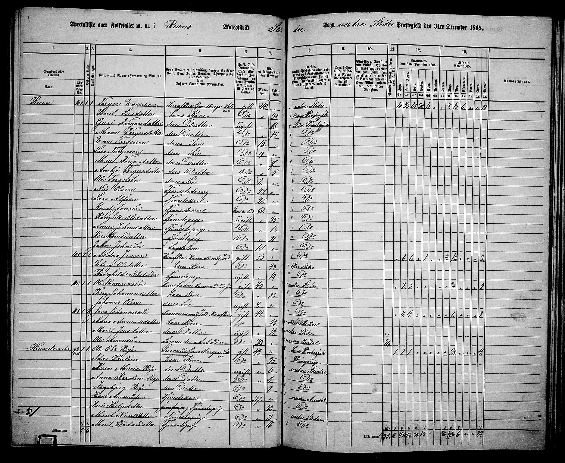 RA, 1865 census for Vestre Slidre, 1865, p. 80