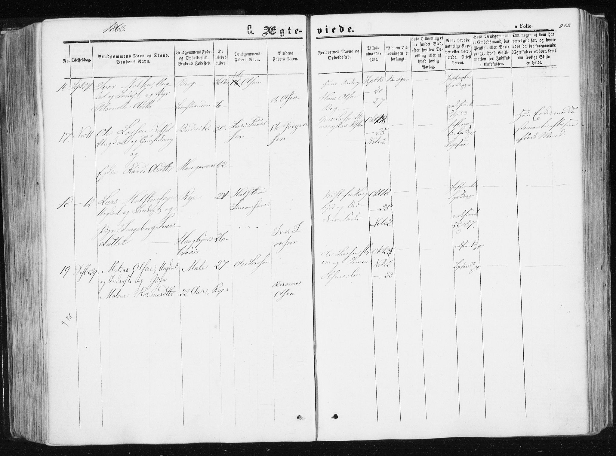 Ministerialprotokoller, klokkerbøker og fødselsregistre - Sør-Trøndelag, AV/SAT-A-1456/612/L0377: Parish register (official) no. 612A09, 1859-1877, p. 312