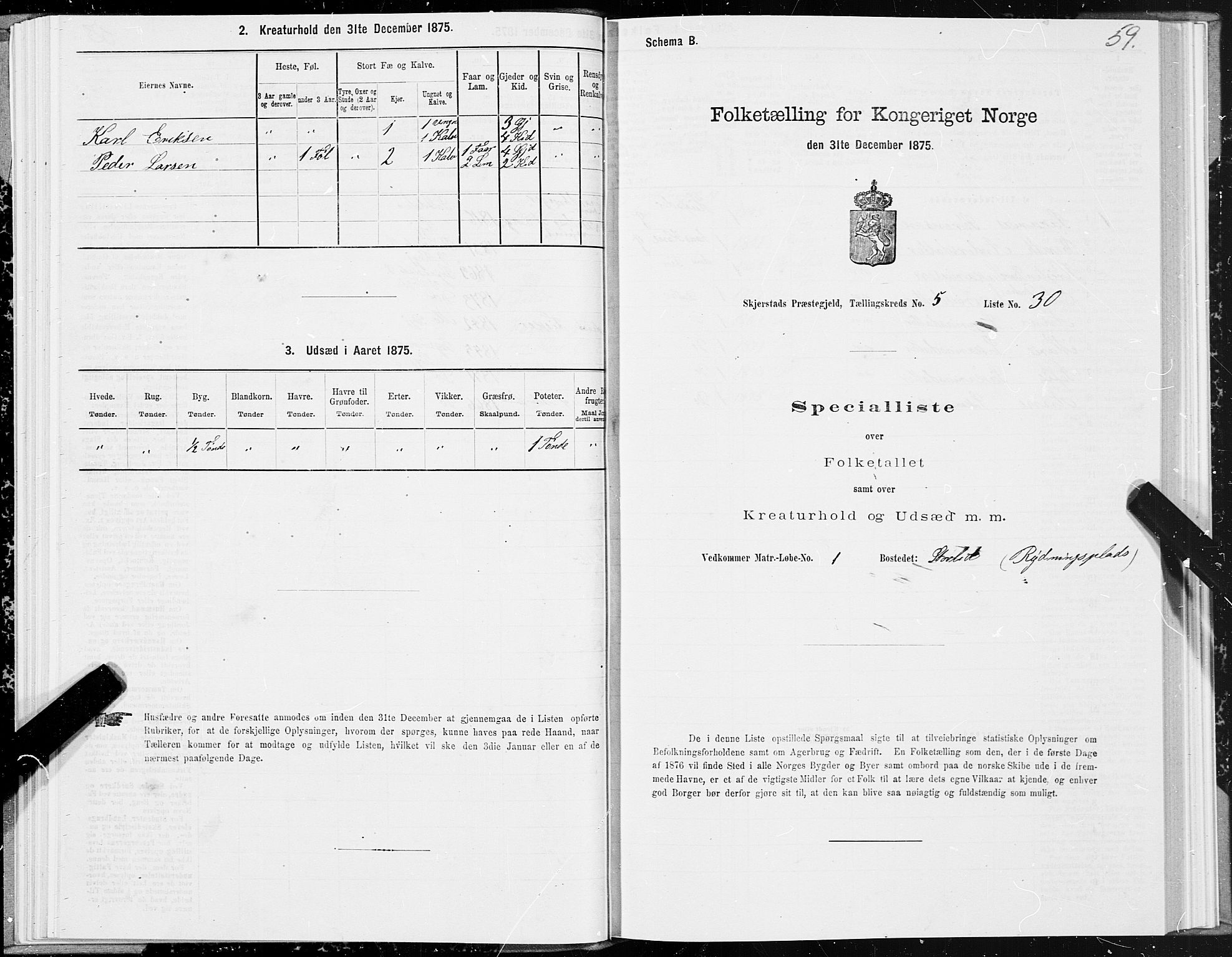 SAT, 1875 census for 1842P Skjerstad, 1875, p. 3059