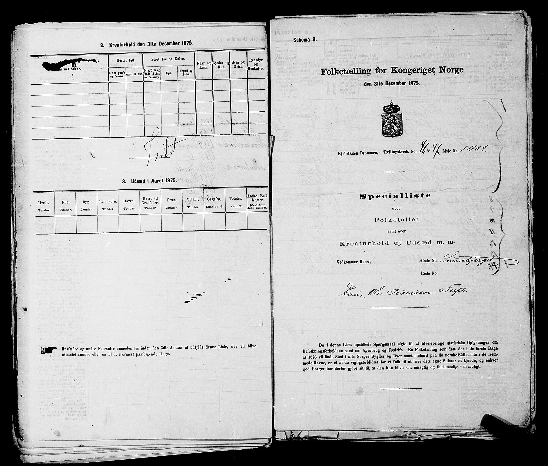 SAKO, 1875 census for 0602 Drammen, 1875, p. 3778