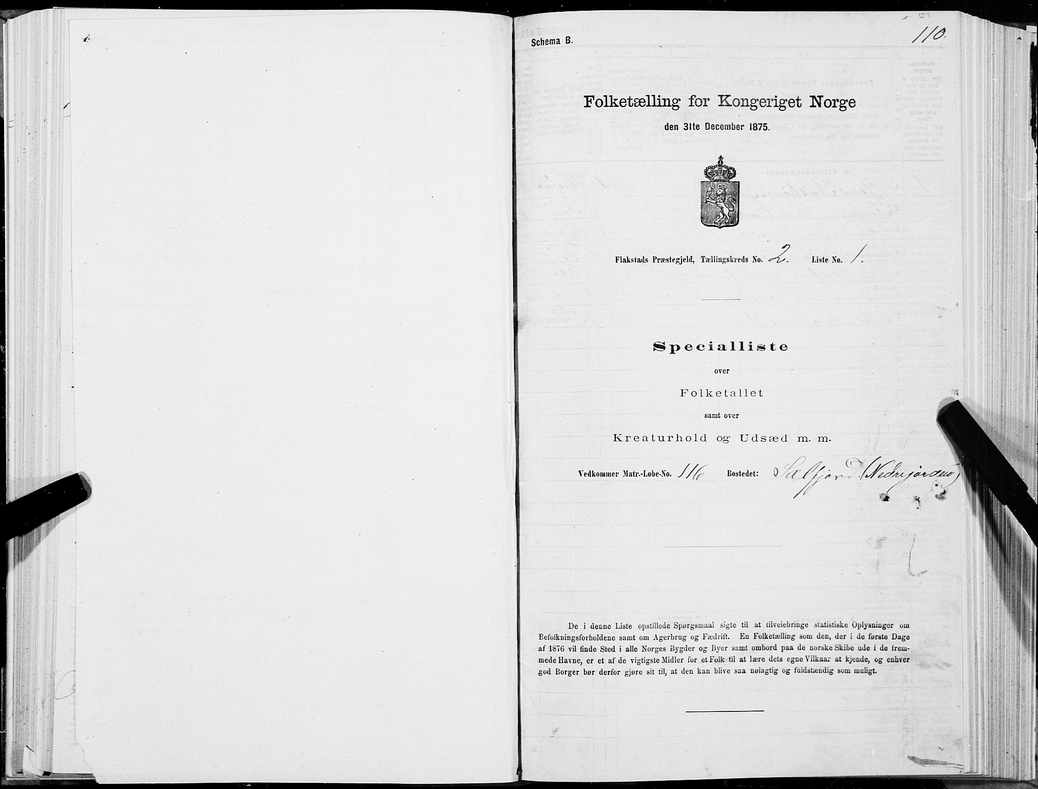 SAT, 1875 census for 1859P Flakstad, 1875, p. 1110