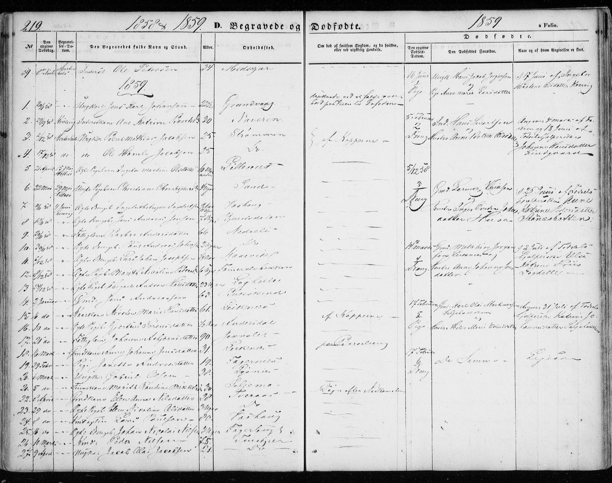 Lenvik sokneprestembete, SATØ/S-1310/H/Ha/Haa/L0007kirke: Parish register (official) no. 7, 1855-1865, p. 219
