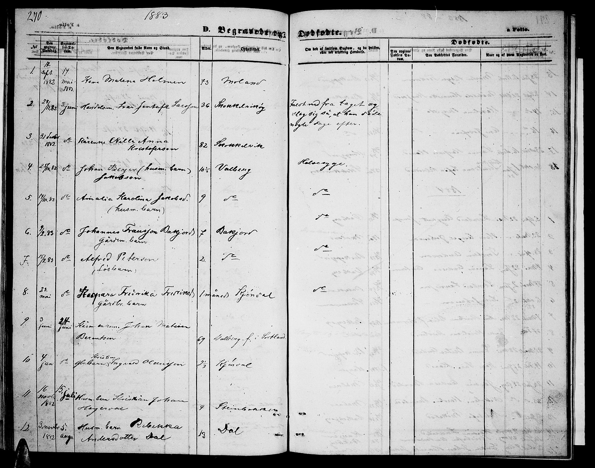 Ministerialprotokoller, klokkerbøker og fødselsregistre - Nordland, AV/SAT-A-1459/884/L1196: Parish register (copy) no. 884C02, 1860-1887, p. 270