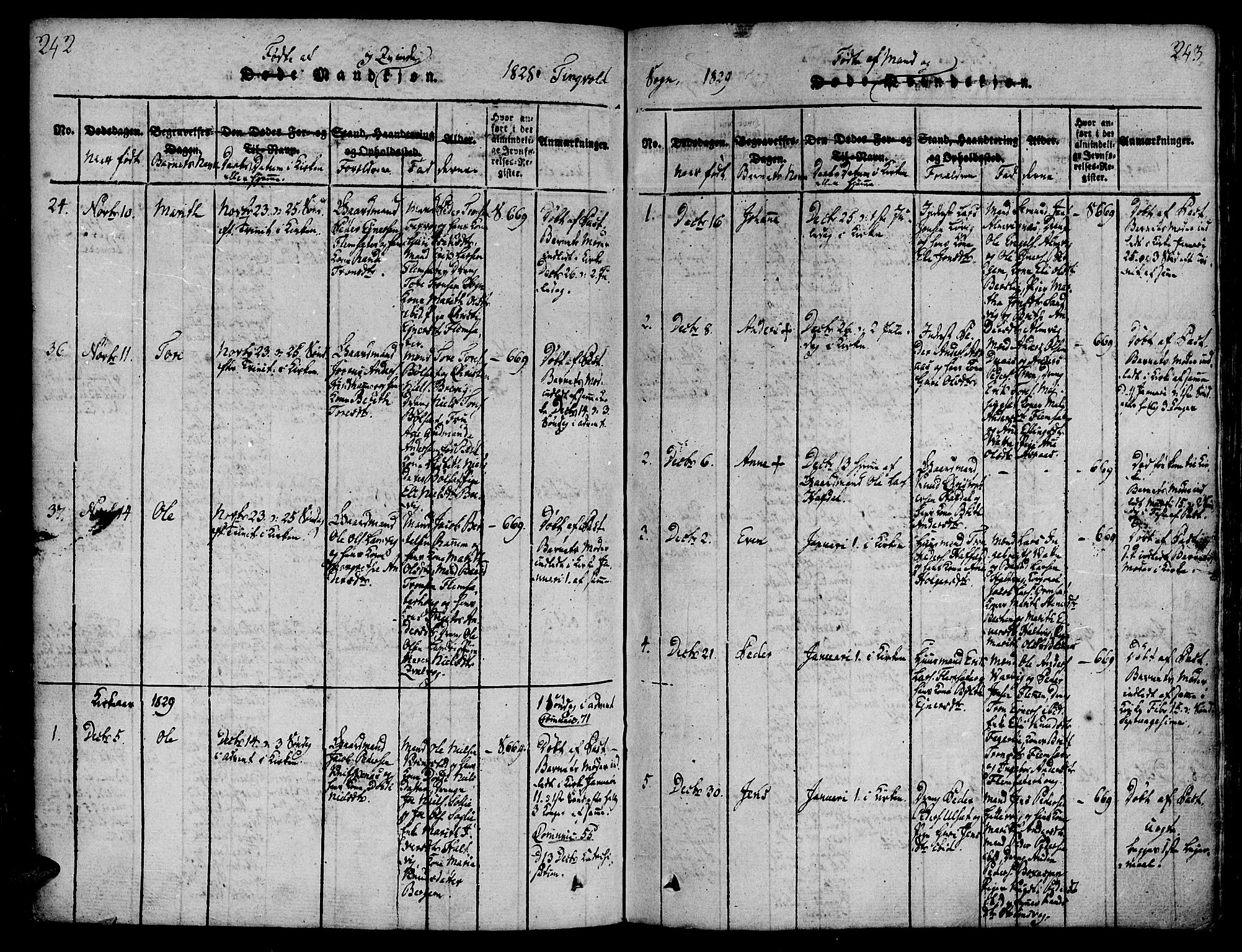 Ministerialprotokoller, klokkerbøker og fødselsregistre - Møre og Romsdal, SAT/A-1454/586/L0982: Parish register (official) no. 586A08, 1819-1829, p. 242-243