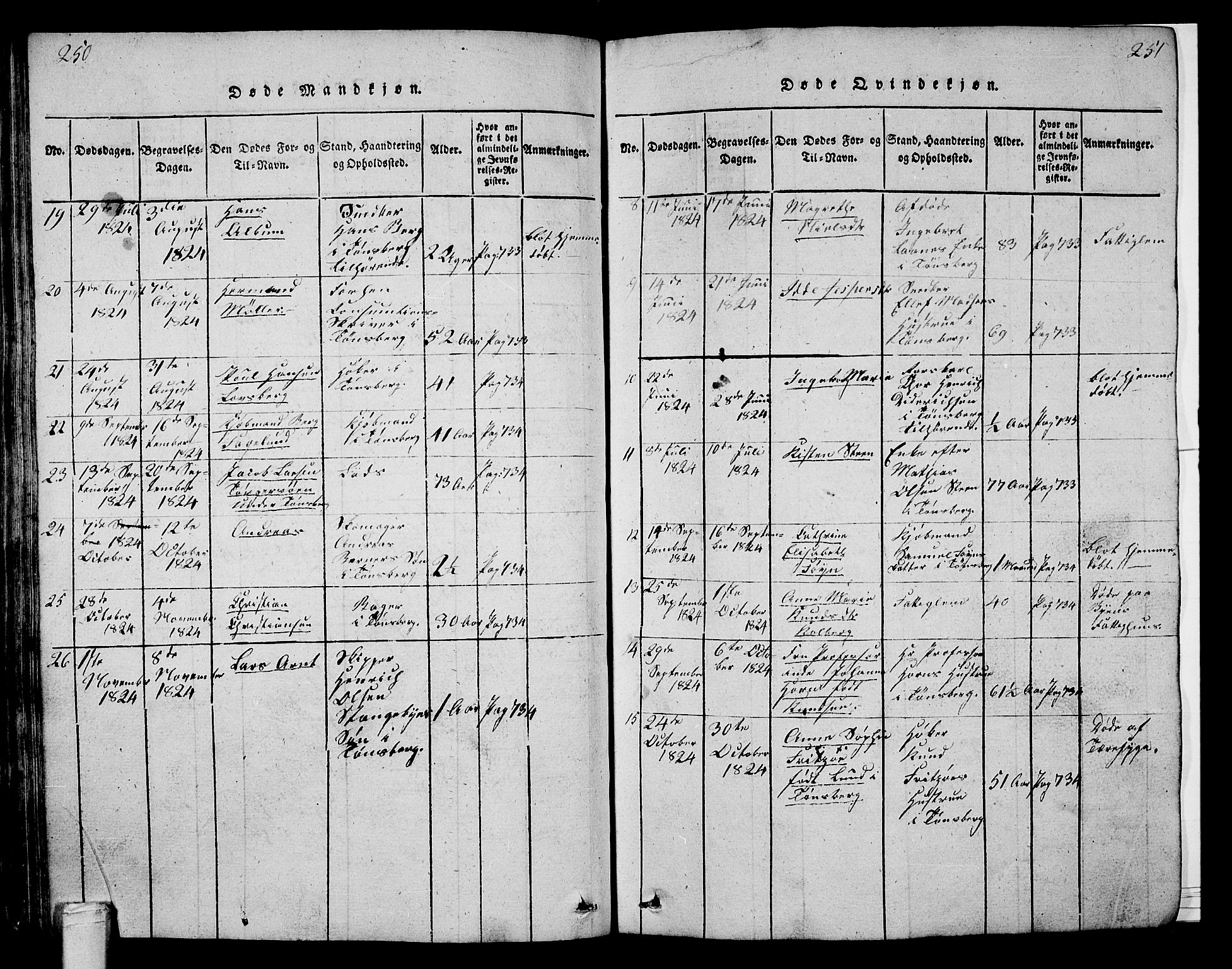 Tønsberg kirkebøker, SAKO/A-330/G/Ga/L0001: Parish register (copy) no. 1, 1813-1826, p. 250-251