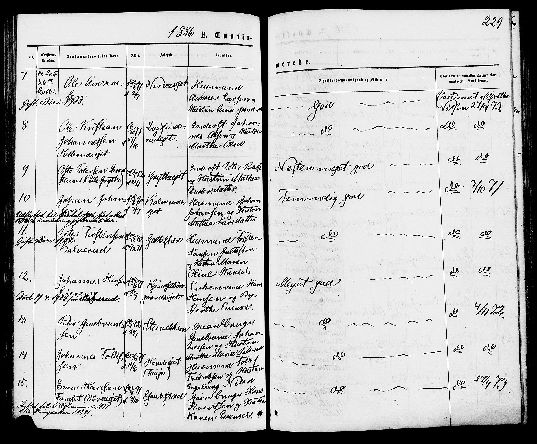 Biri prestekontor, SAH/PREST-096/H/Ha/Haa/L0006: Parish register (official) no. 6, 1877-1886, p. 229