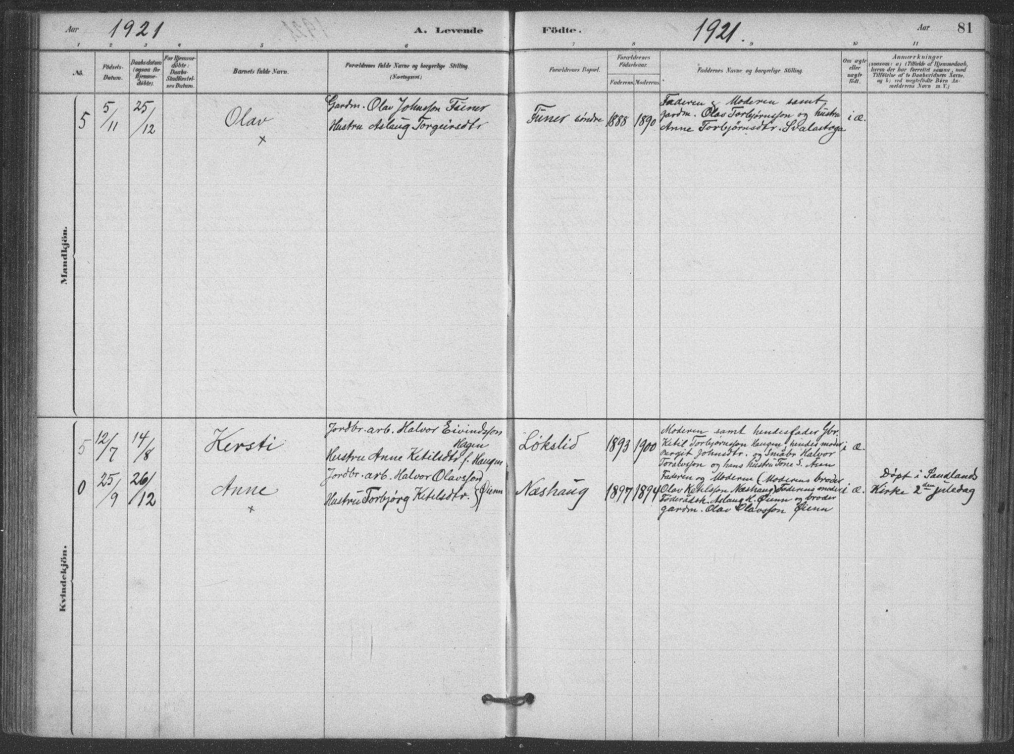 Hjartdal kirkebøker, SAKO/A-270/F/Fa/L0010: Parish register (official) no. I 10, 1880-1929, p. 81